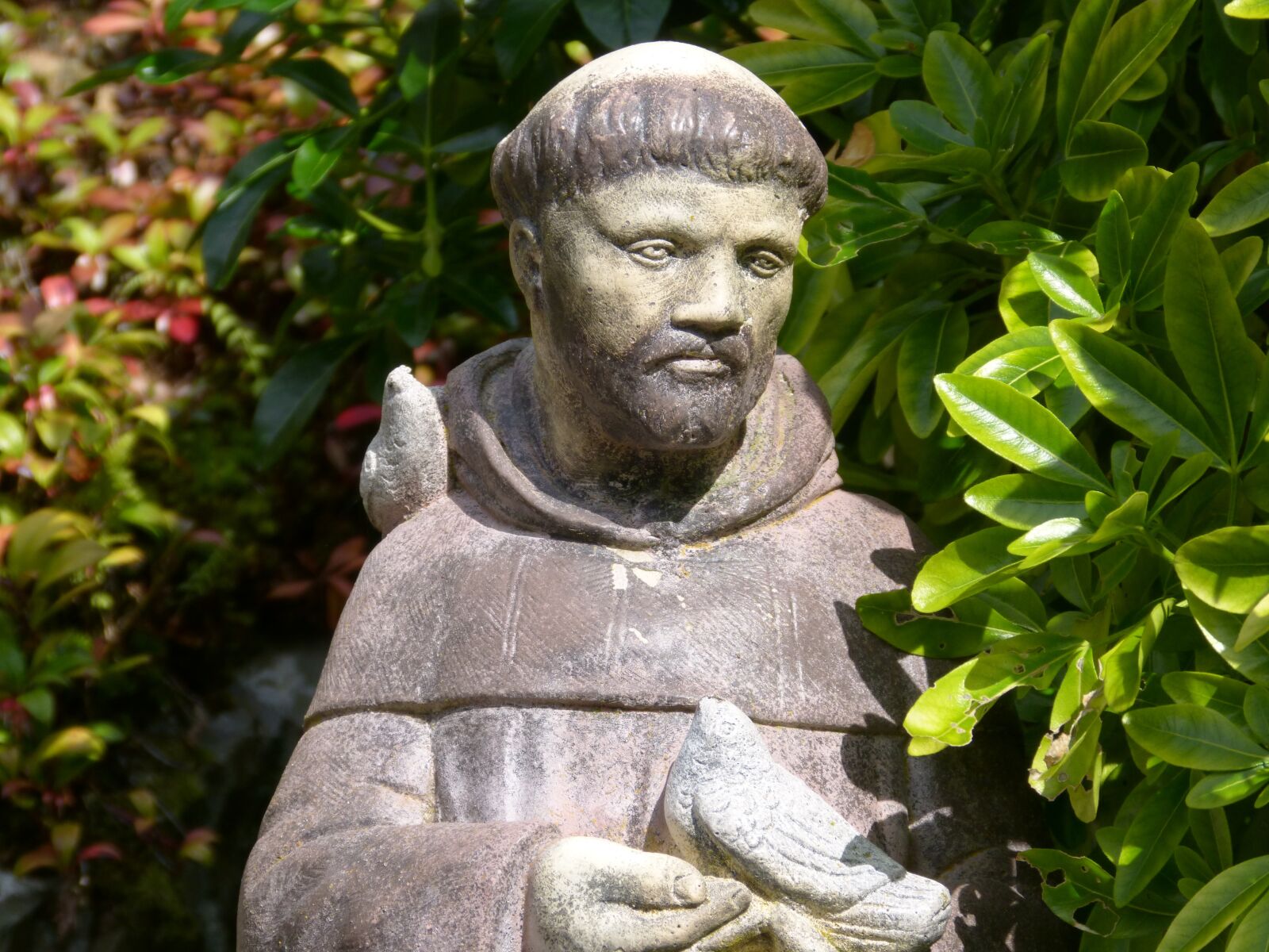 Panasonic DMC-FZ62 sample photo. Saint, francis, statue photography