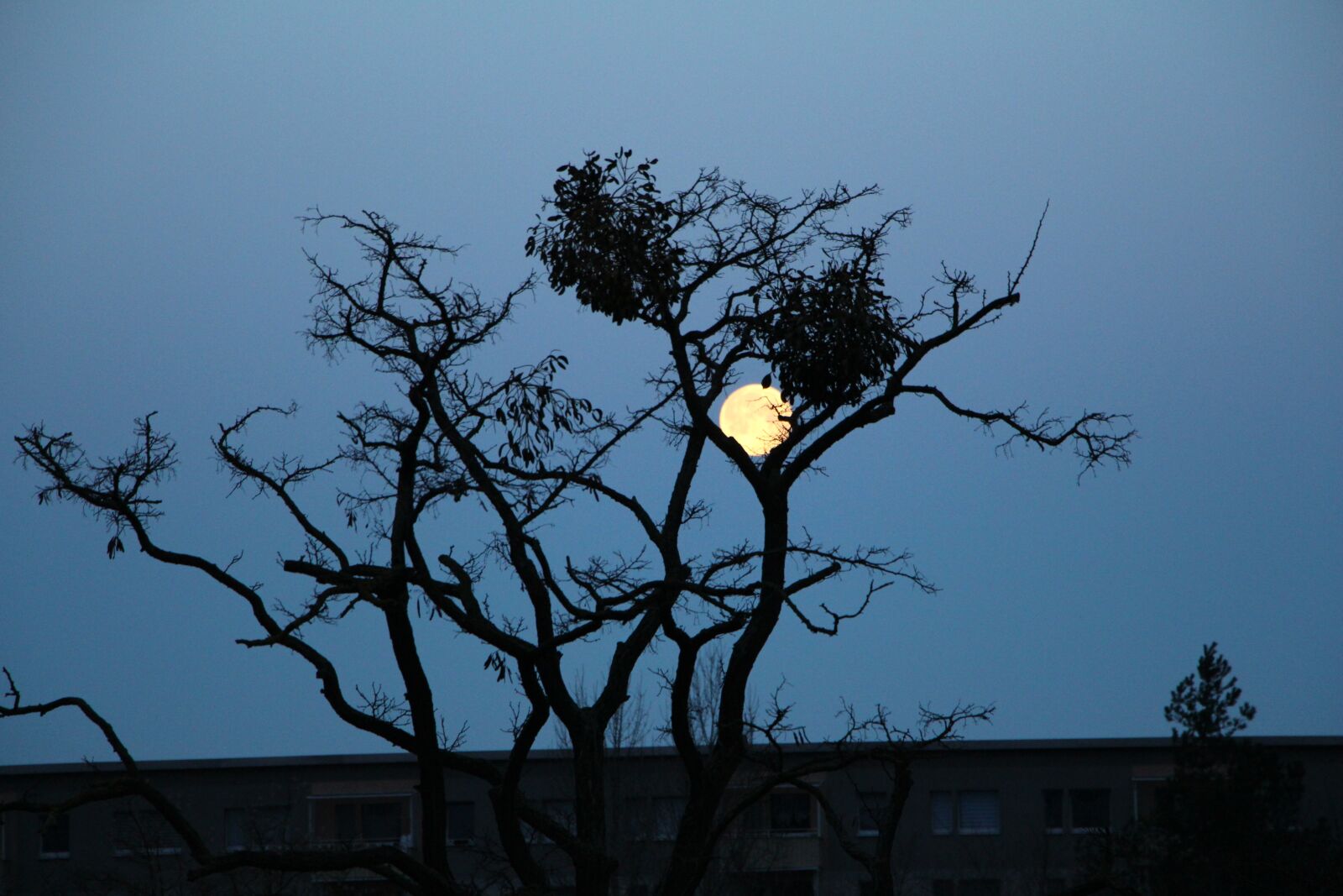 Canon EOS 700D (EOS Rebel T5i / EOS Kiss X7i) sample photo. Moon, evening, dike photography
