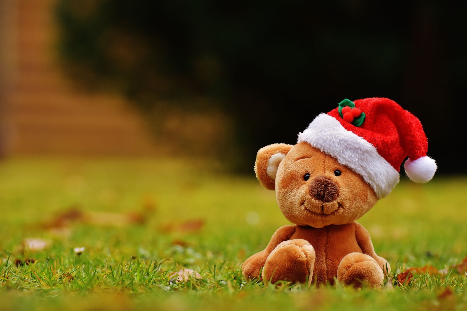 Nikon D7200 sample photo. Christmas, teddy, soft toy photography
