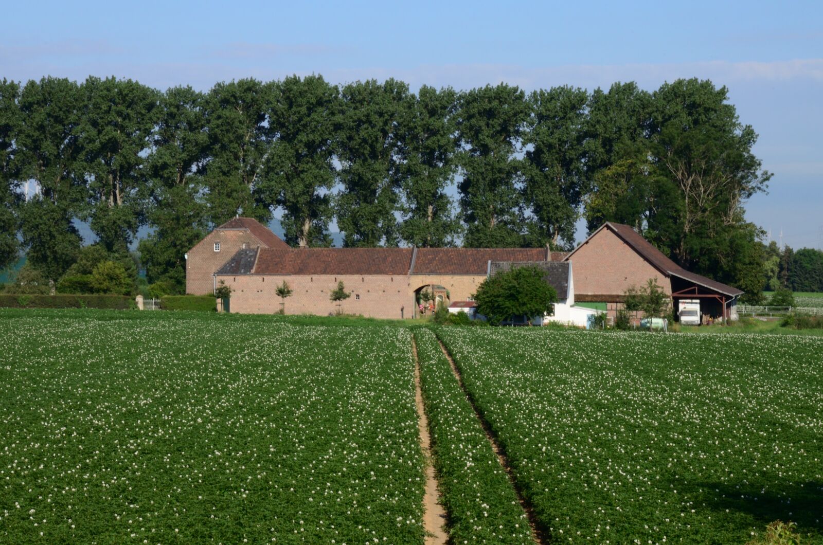 Nikon D5100 sample photo. Landscape, farm, agriculture photography