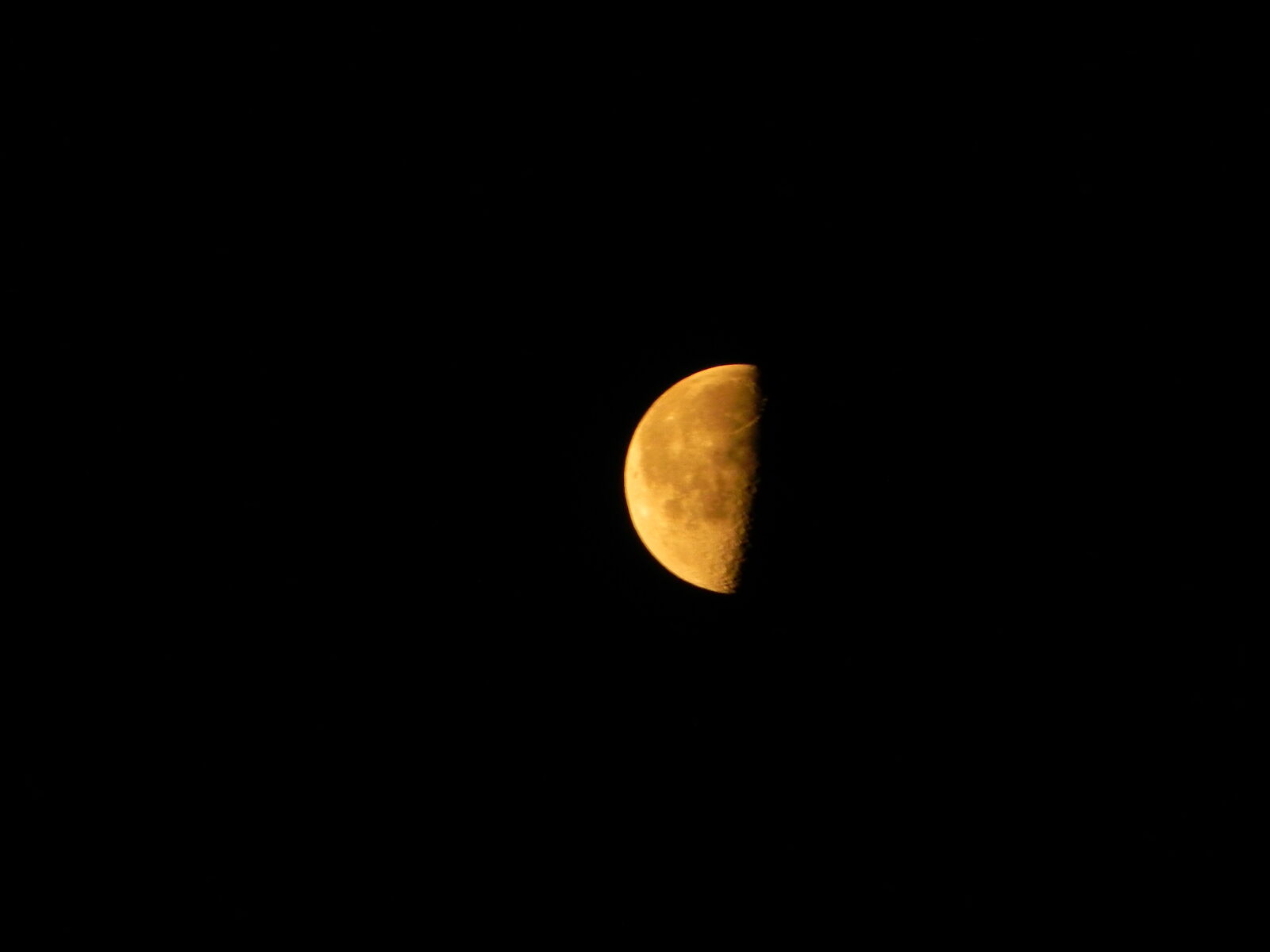 Nikon Coolpix P100 sample photo
