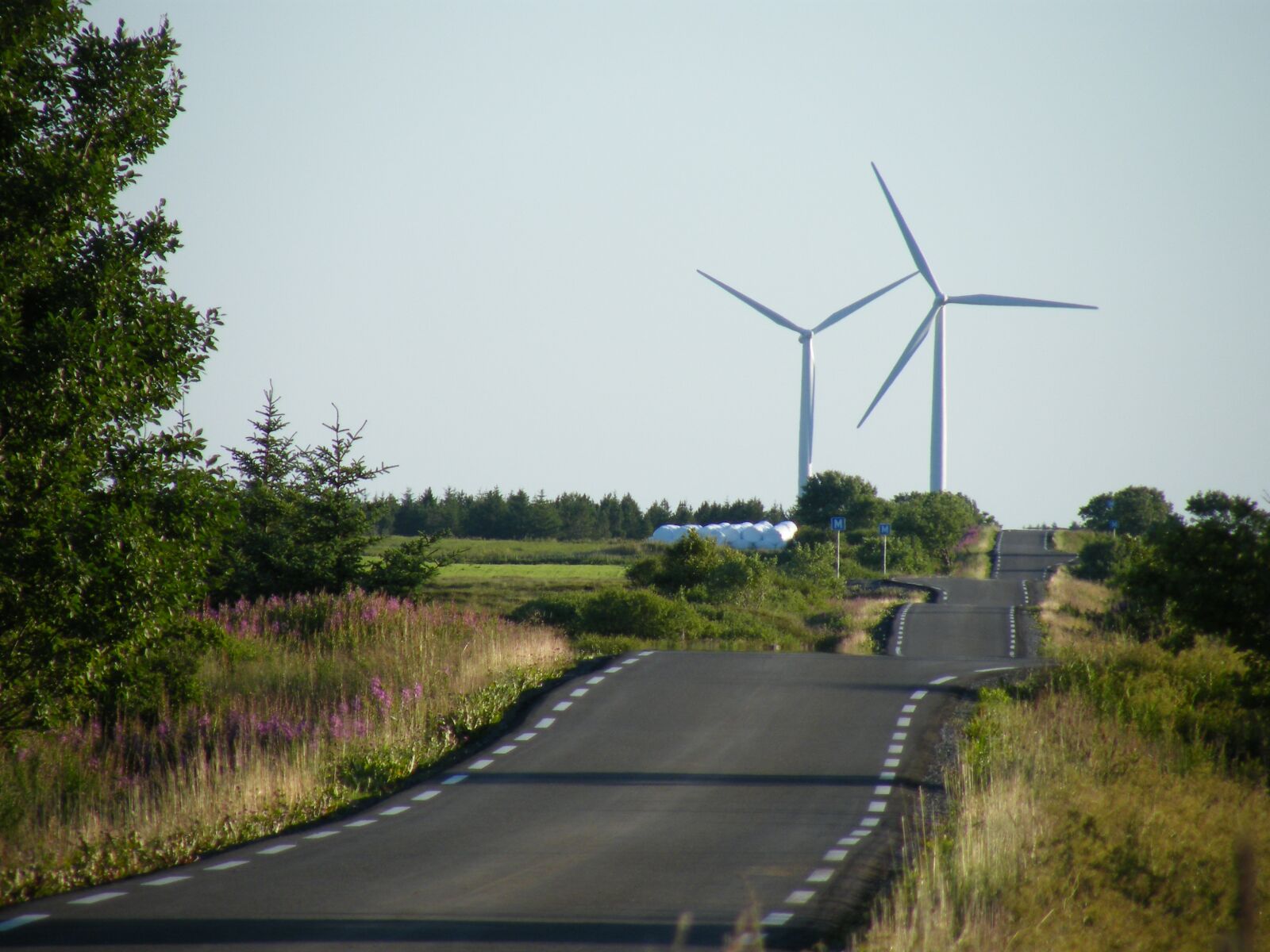 Fujifilm FinePix S8000fd sample photo. Windmills, smola rising, wind photography
