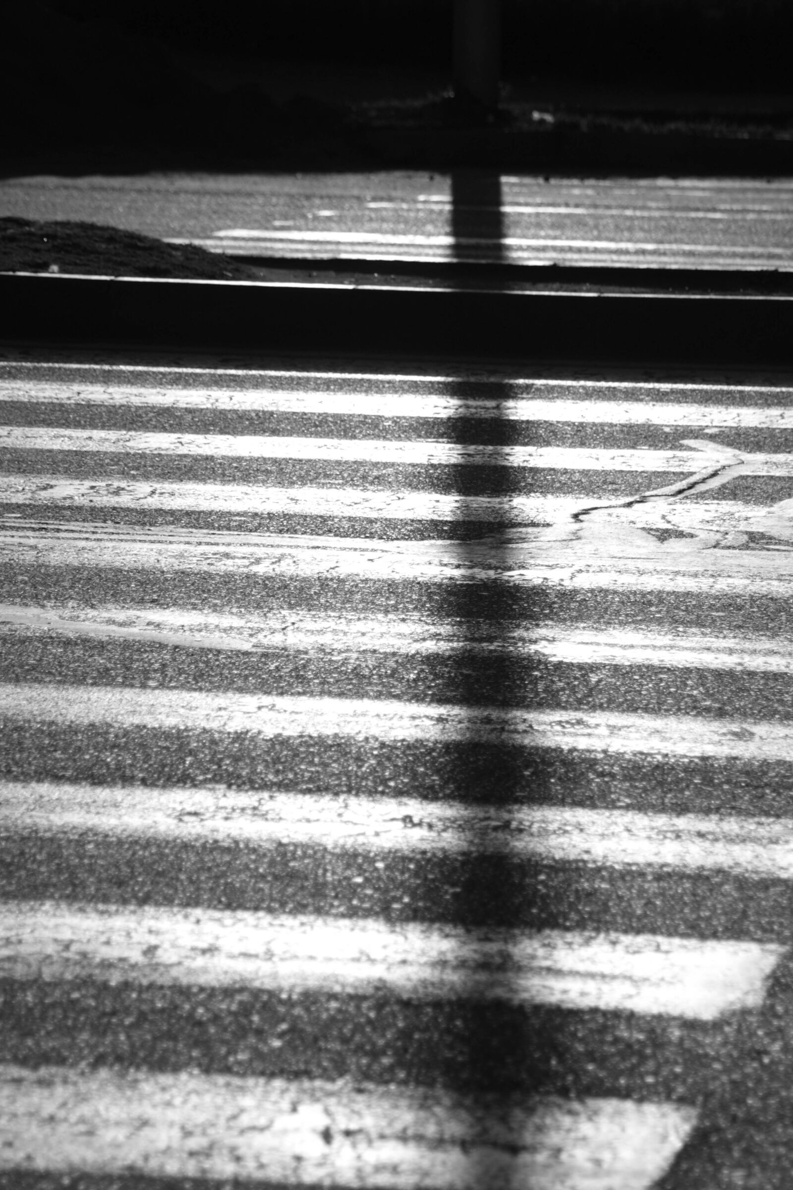 Canon EOS 450D (EOS Rebel XSi / EOS Kiss X2) sample photo. Shadows, zebra photography