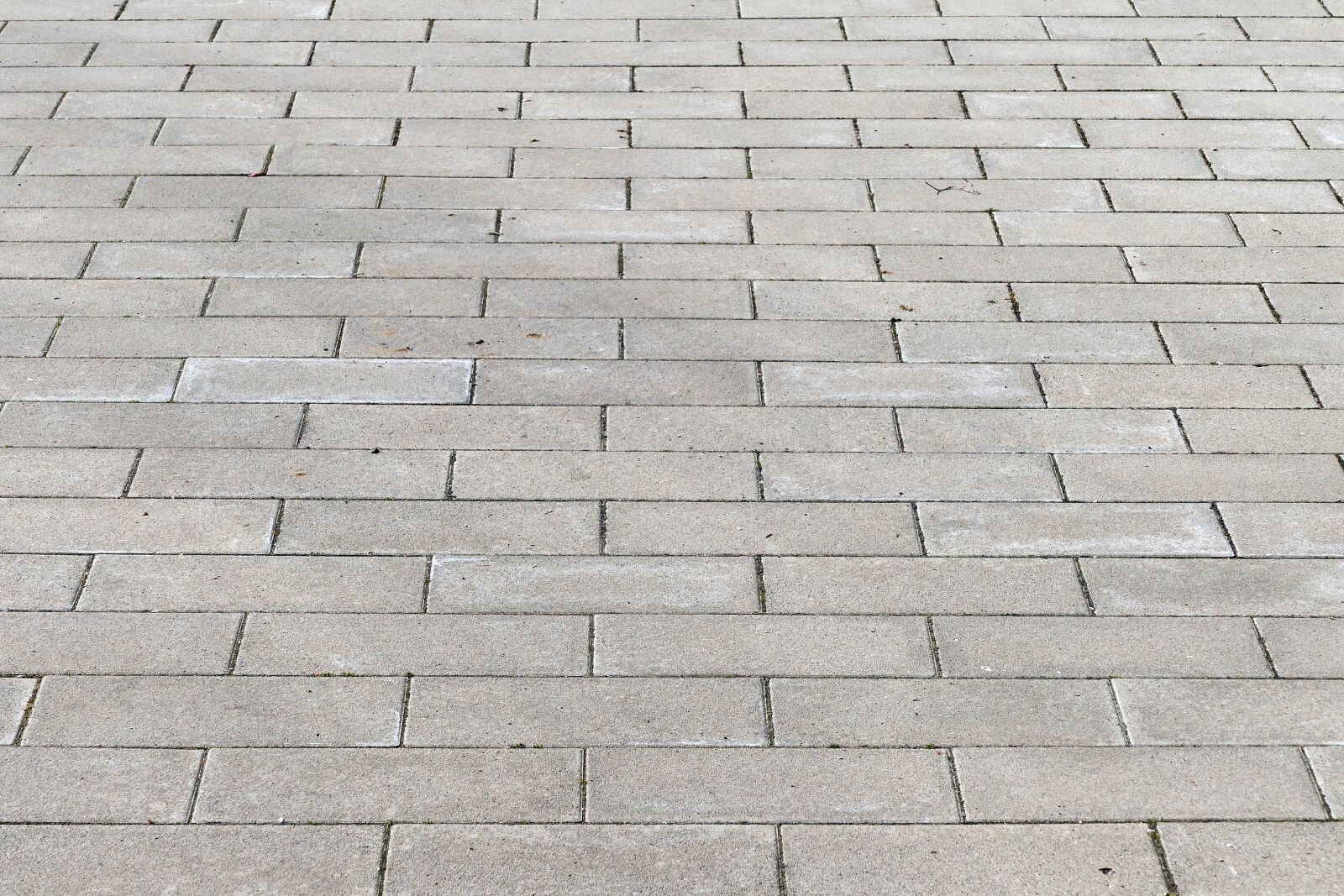 Panasonic Lumix DMC-FZ1000 sample photo. Patch, flooring, paving stones photography