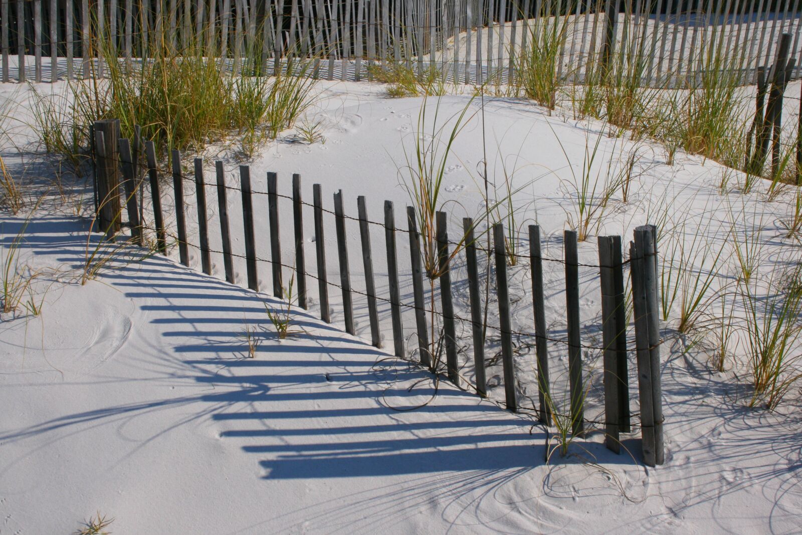 Canon EOS 400D (EOS Digital Rebel XTi / EOS Kiss Digital X) sample photo. Sand, coast, beach photography