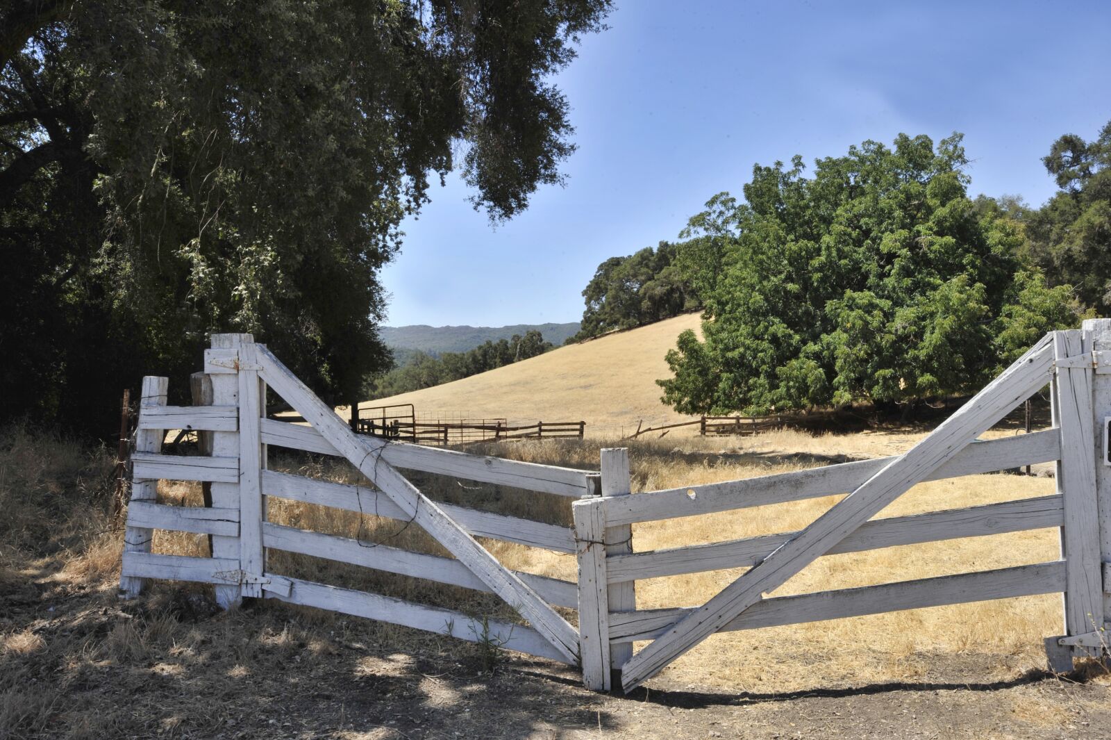 Nikon D3 sample photo. Gate, pasture, pasture fence photography