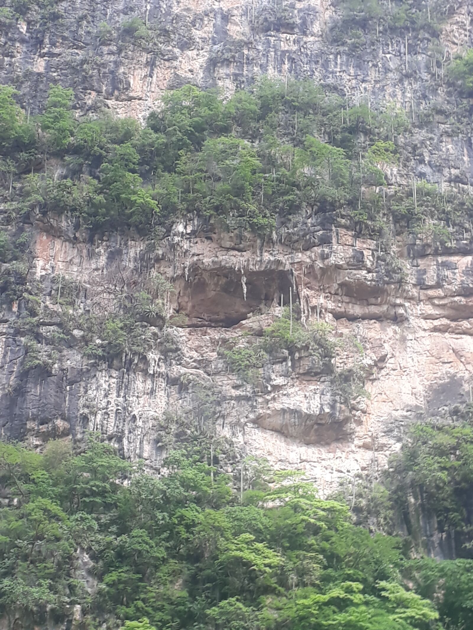 Samsung Galaxy J7 Prime sample photo. Chiapas, walk, river photography