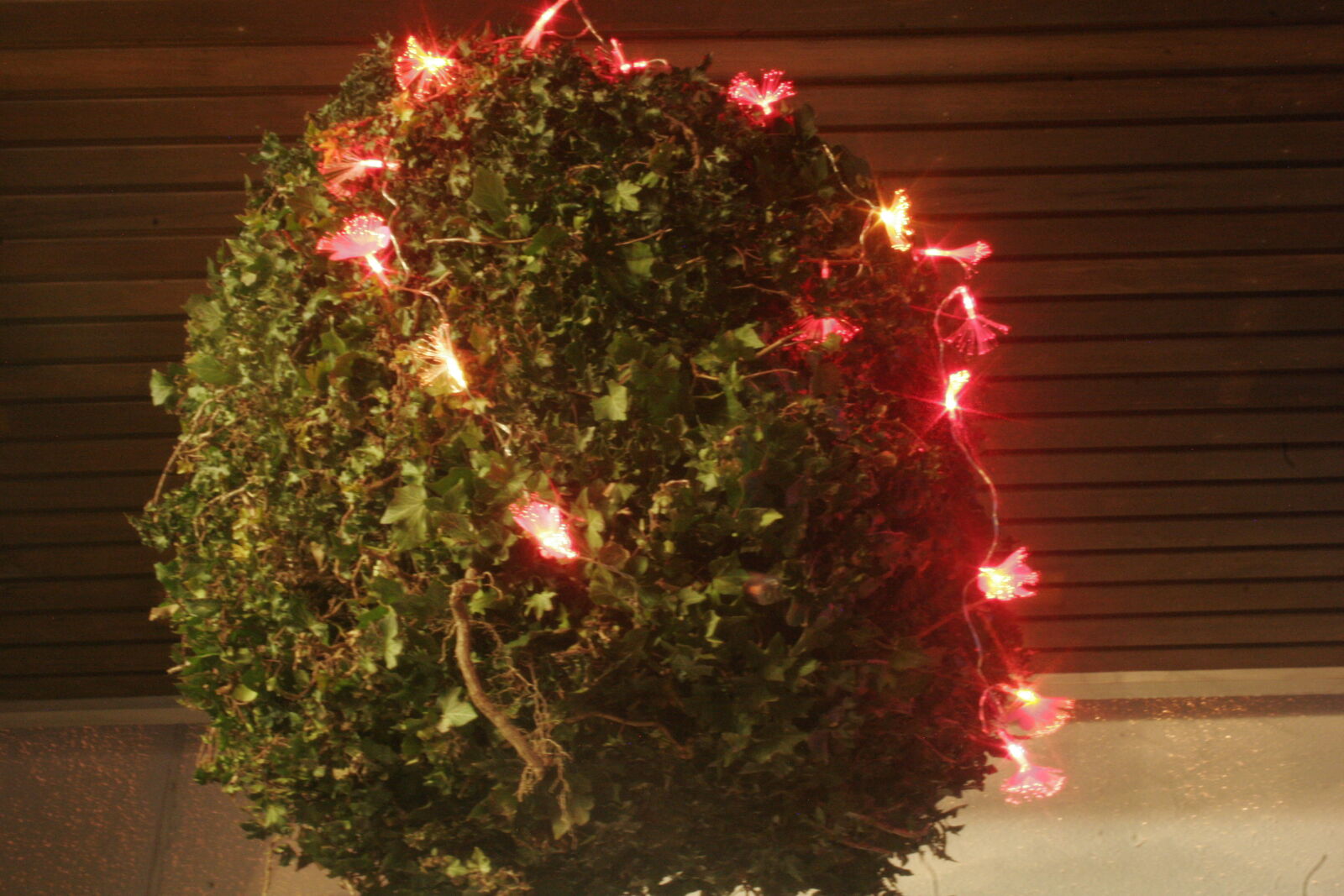 Canon EOS 20D sample photo. Bush, fairy, lights, lights photography