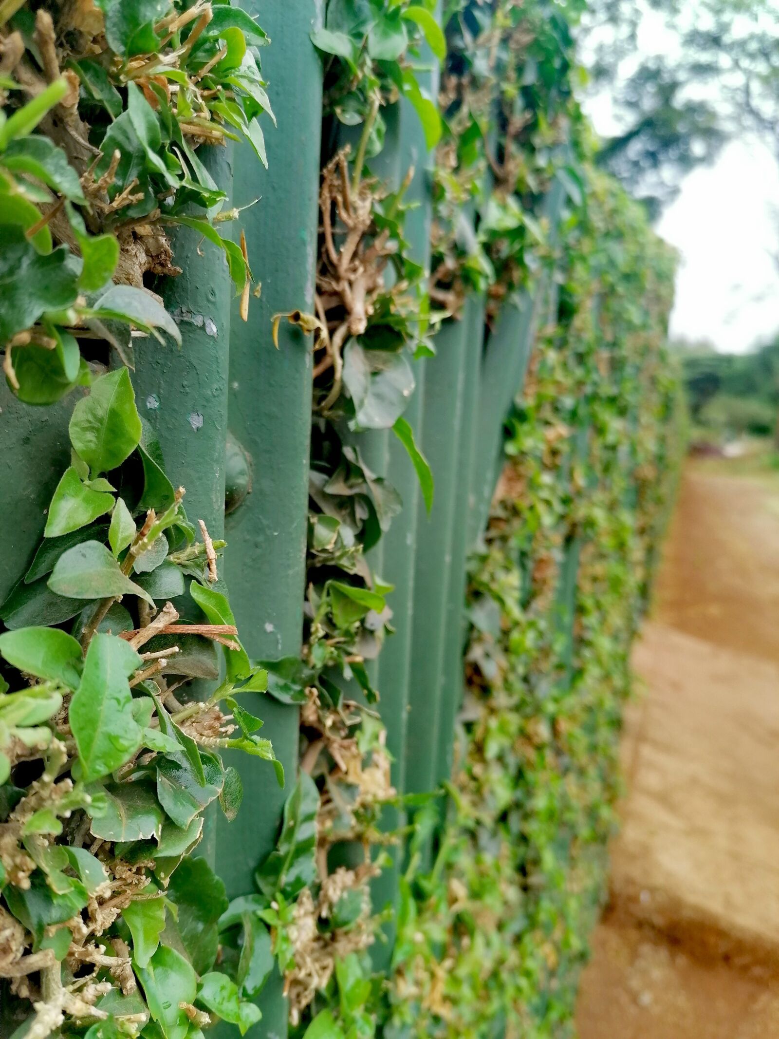 HUAWEI STK-L21 sample photo. Wall, grave, kilimanjaro photography