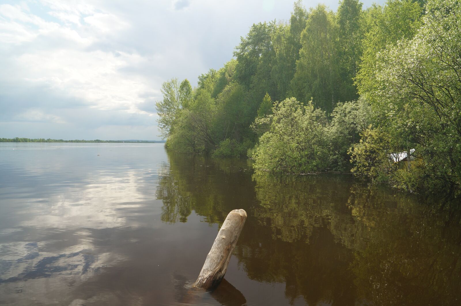 Sony SLT-A57 sample photo. River, flood, spring photography