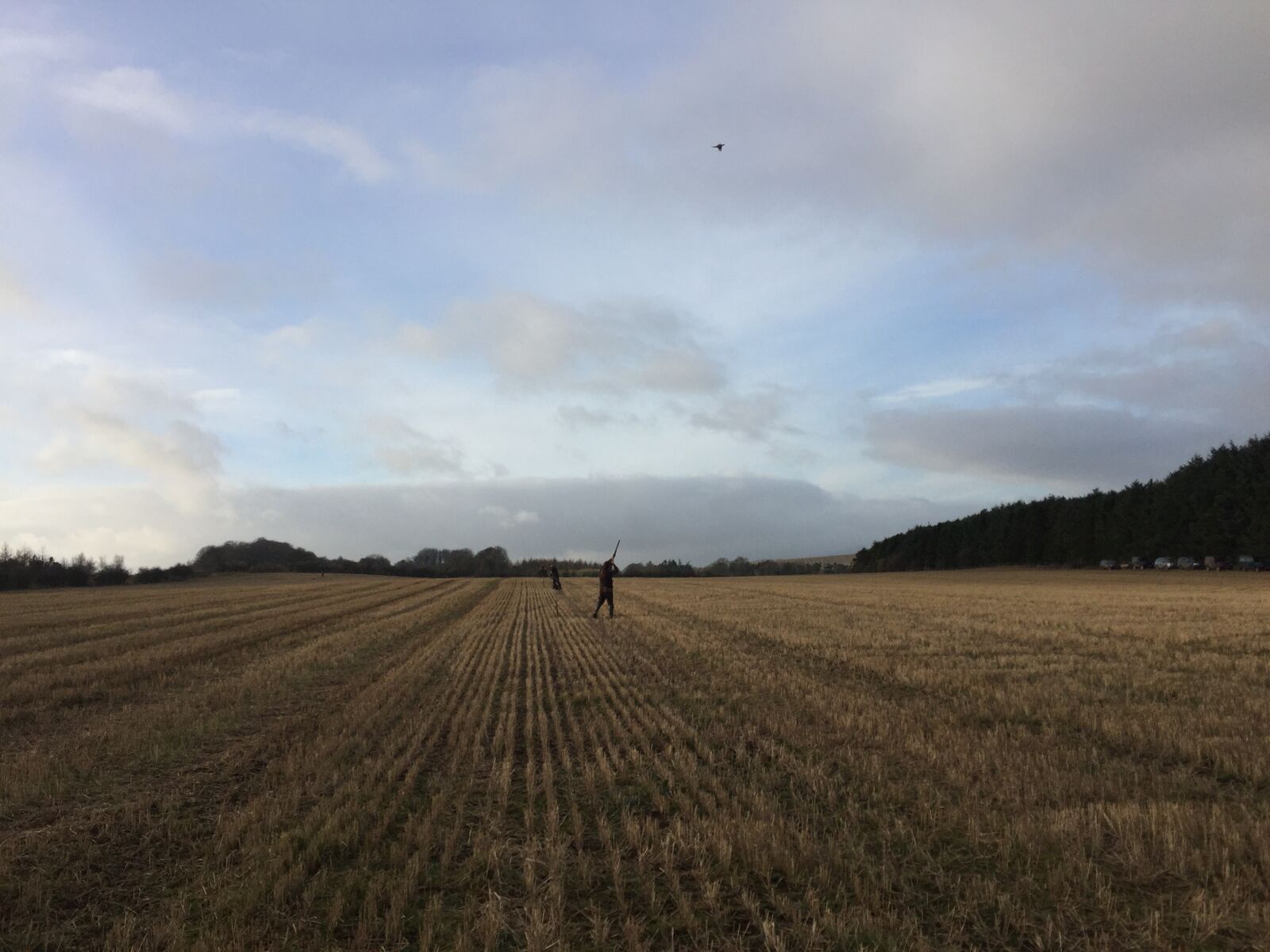 iPhone 6 back camera 4.15mm f/2.2 sample photo. Field, stubble, straw photography