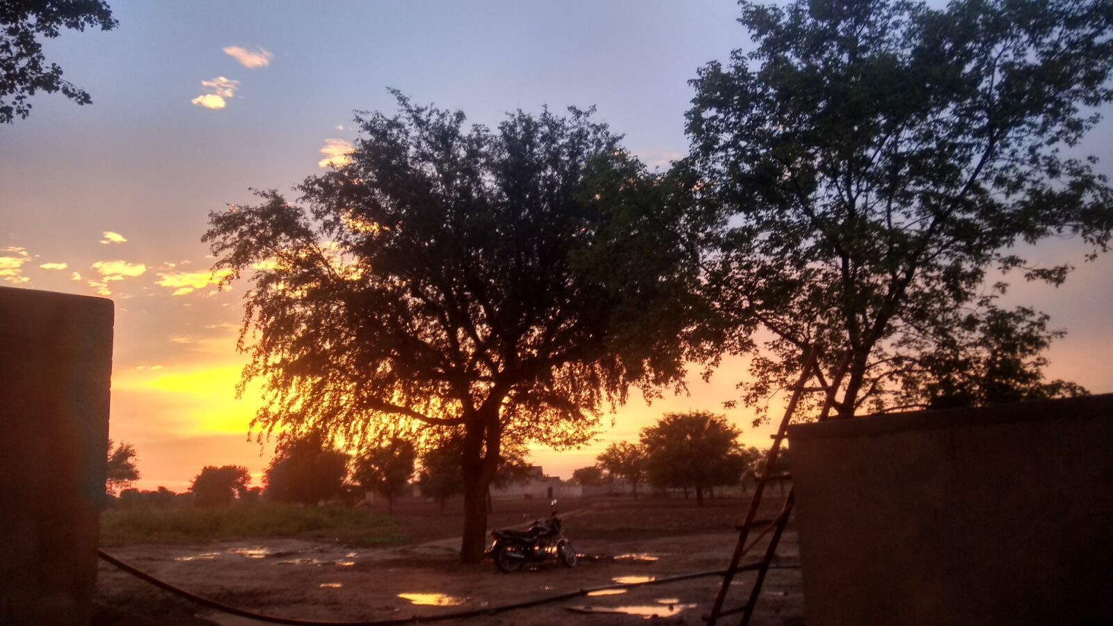 Xiaomi Redmi Note 4 sample photo. Sunset, tree yellow, rajasthan photography