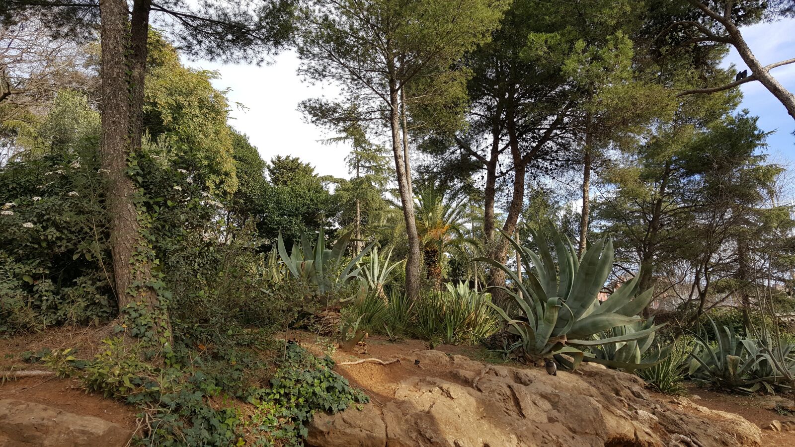 Samsung GALAXY S6 edge sample photo. Barcelona, guell, park guell photography