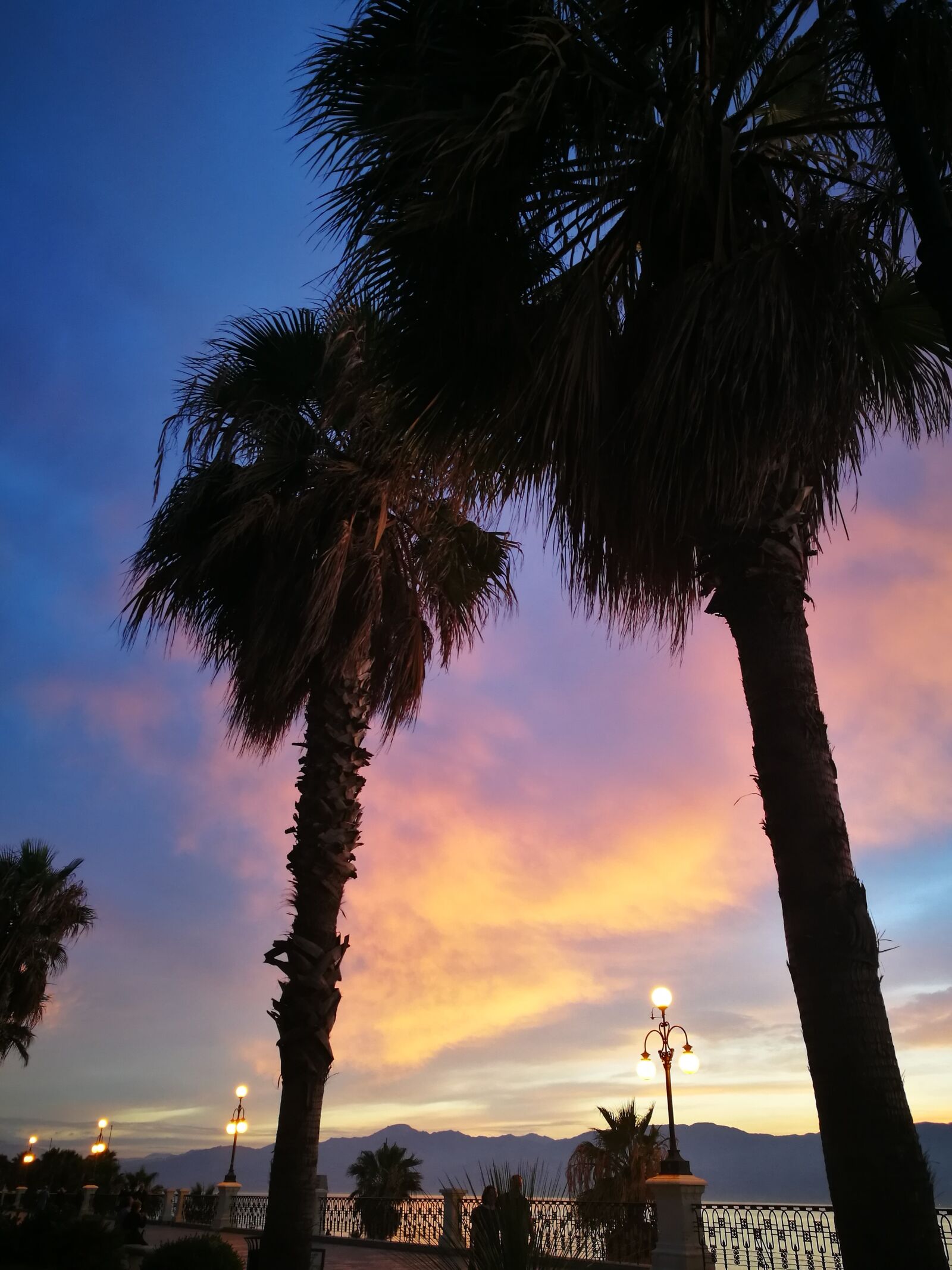 HUAWEI P9 sample photo. Palms, waterfront, reggio calabria photography