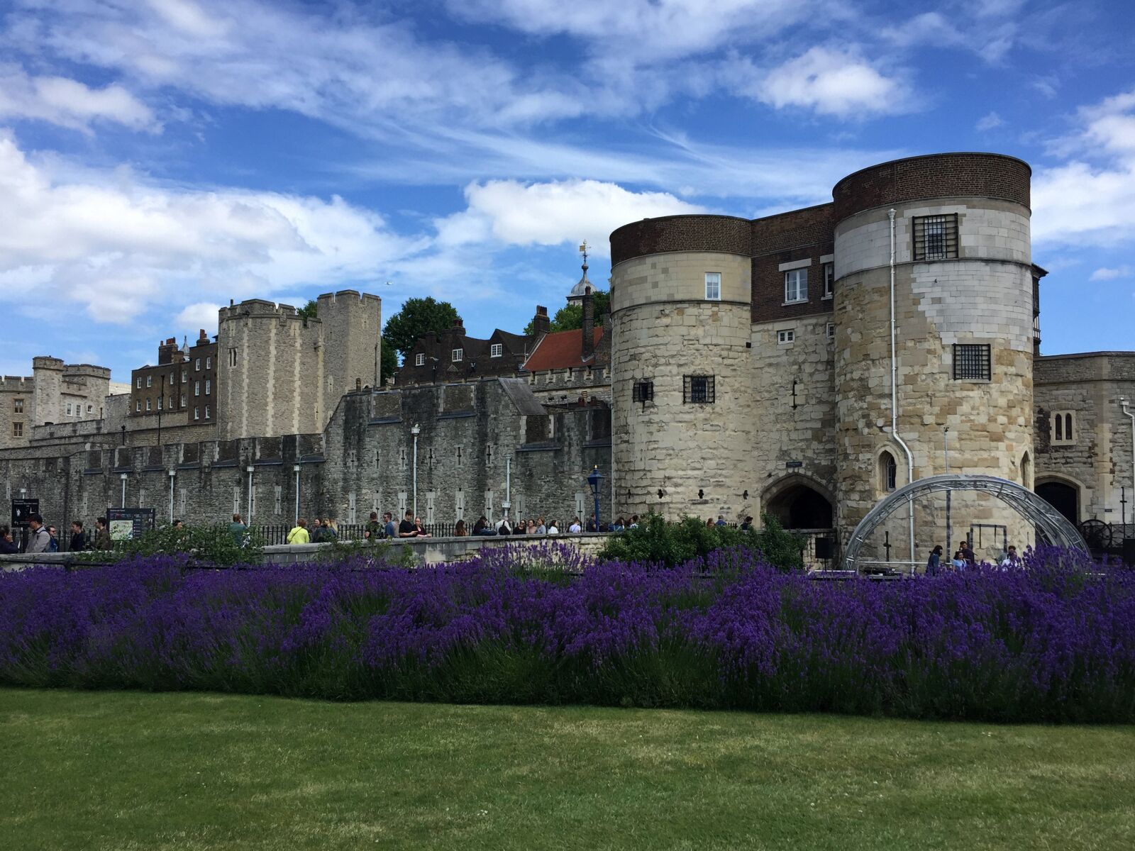 iPhone 6 back camera 4.15mm f/2.2 sample photo. London, tower, purple flowers photography