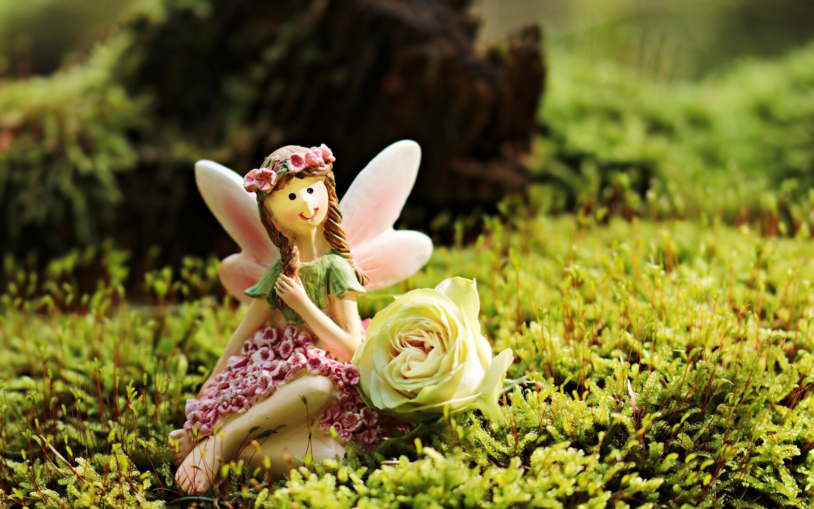 Canon EOS 80D sample photo. Elf, mythical creatures, forest photography