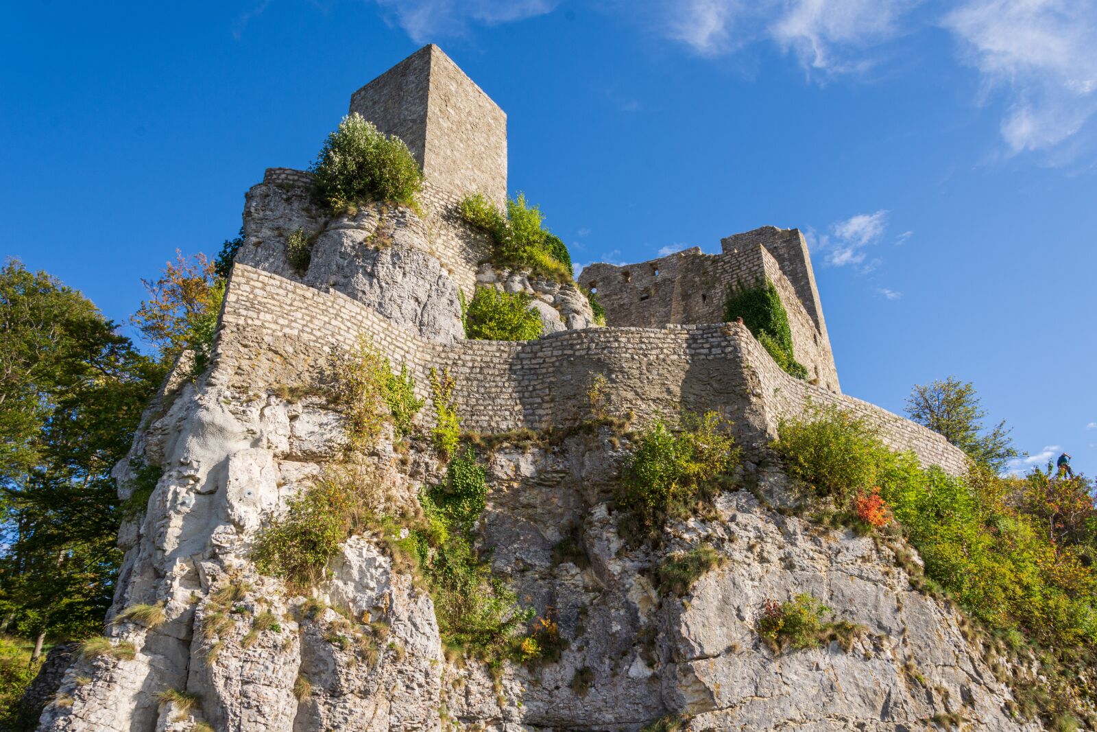 Nikon D7200 sample photo. Castle, rock, scotland photography