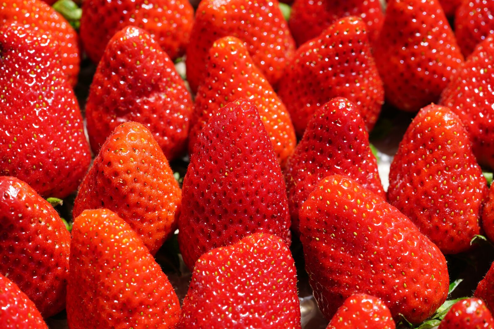 Sony a7R II + Sony FE 90mm F2.8 Macro G OSS sample photo. Strawberries, sweet, red photography