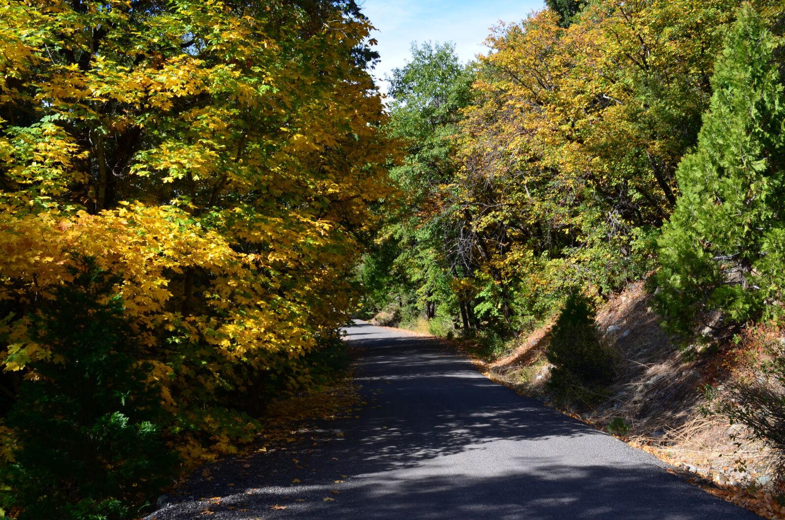 Nikon D5100 sample photo. Country road, mountain highway photography
