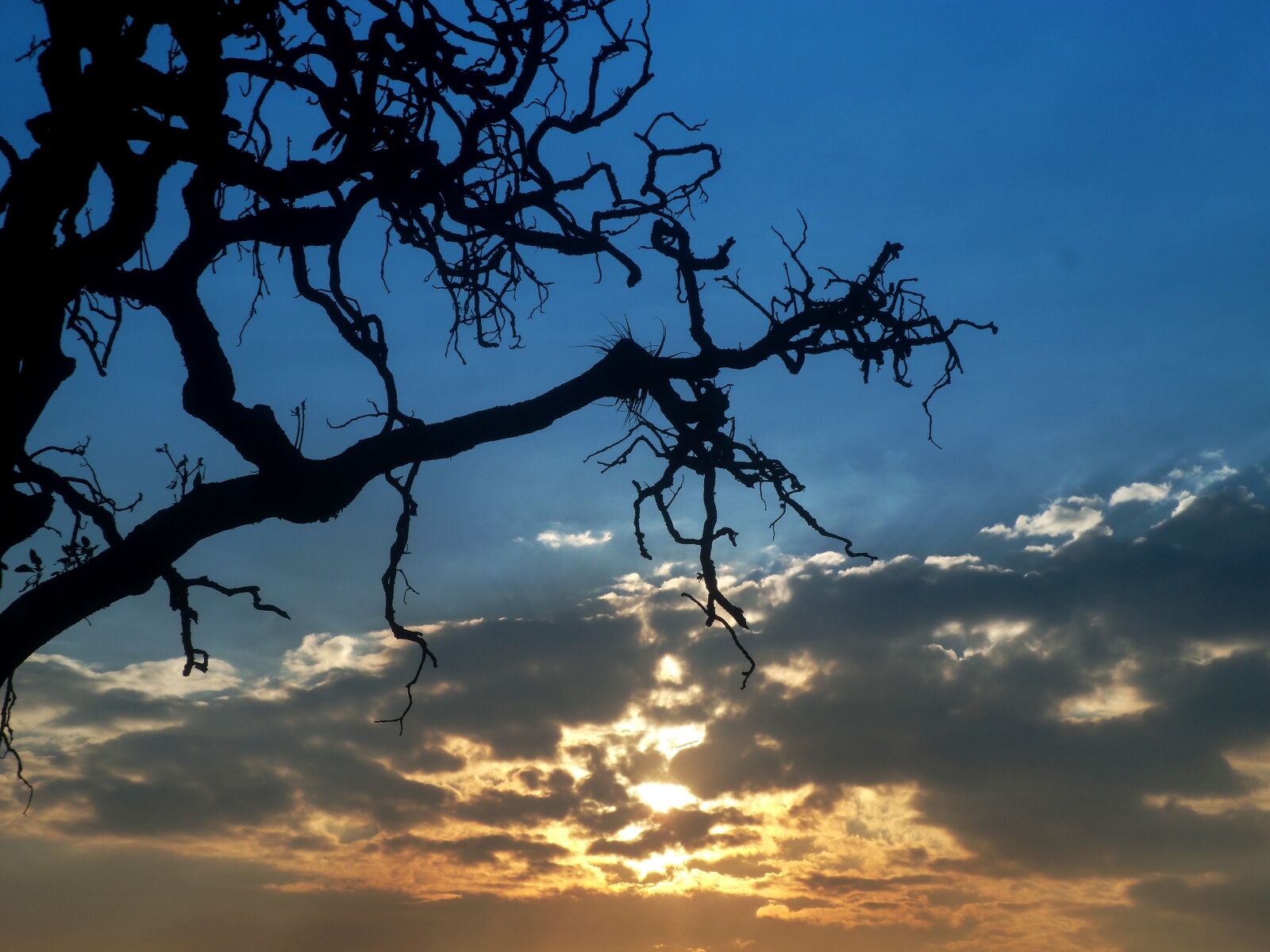 Samsung PL120,PL121 / VLUU PL120,PL121 sample photo. Photo, landscape, sky photography