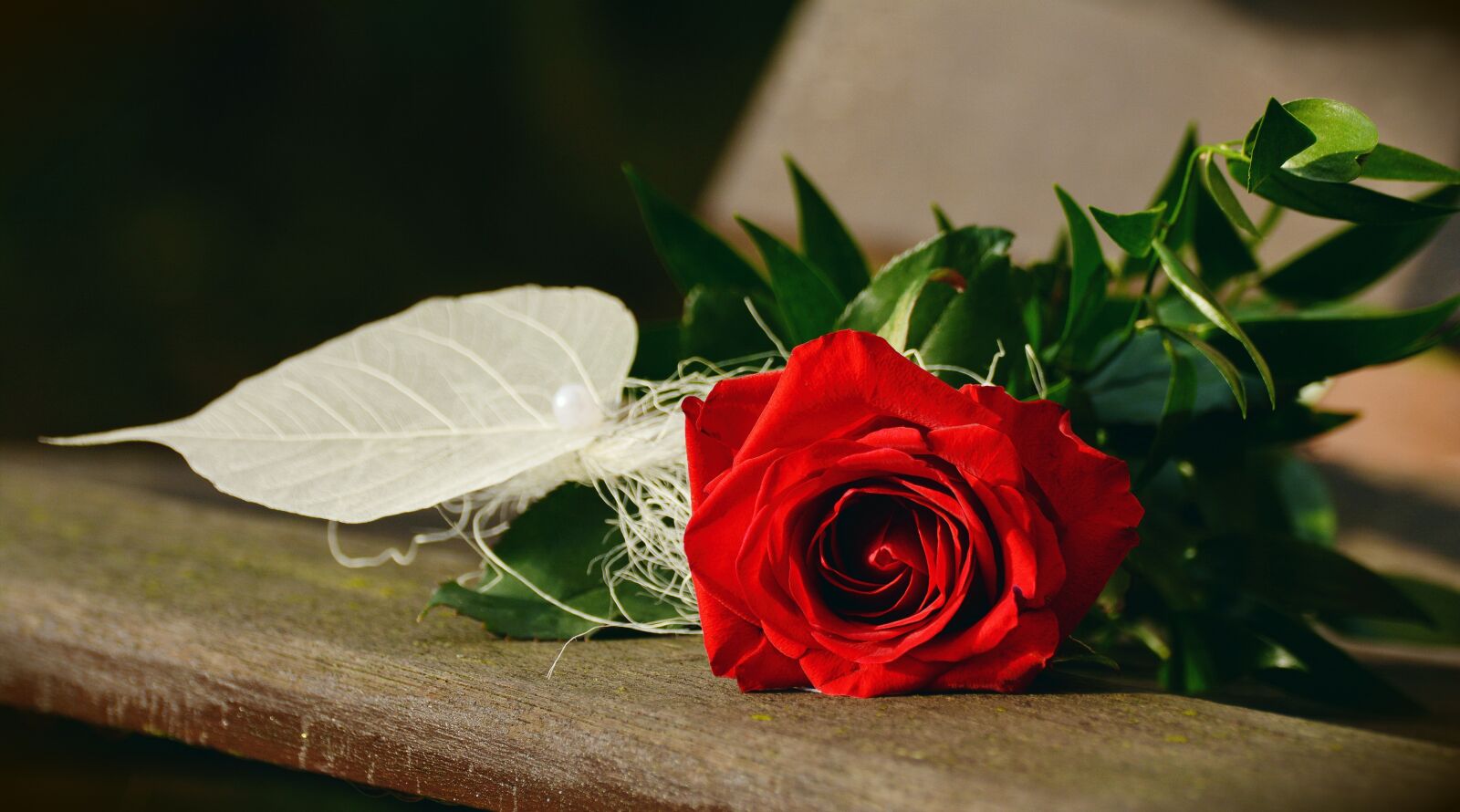 Nikon D5200 sample photo. Rose, red rose, birthday photography