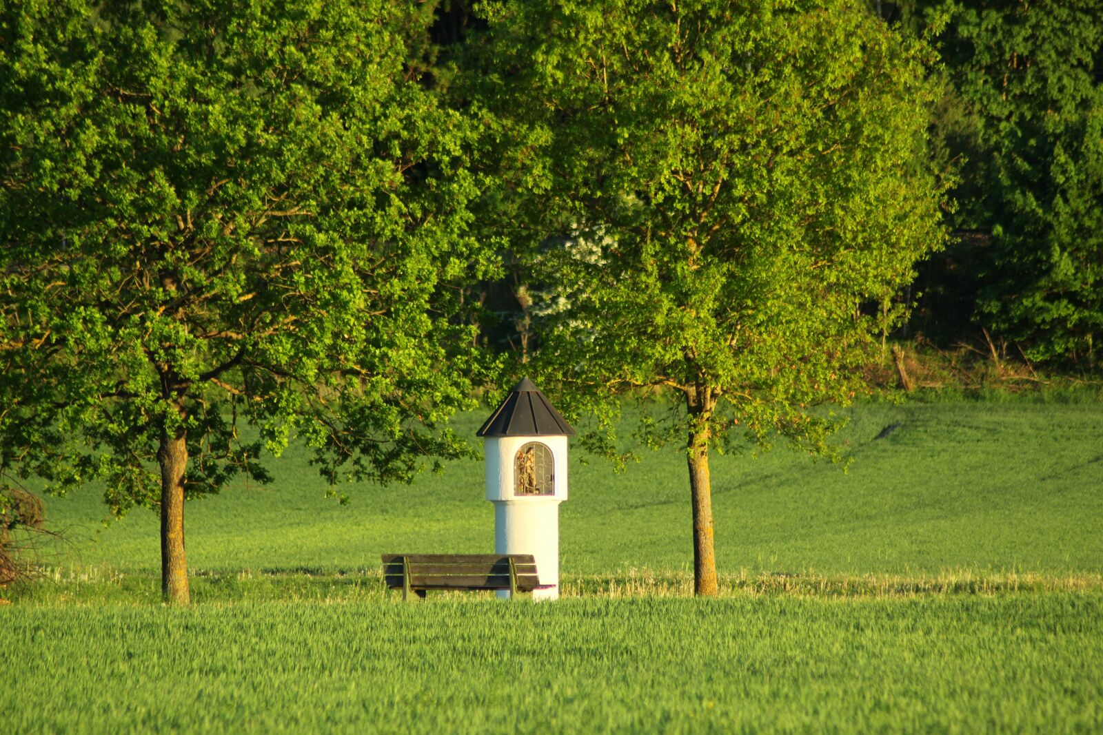 Canon EOS 1300D (EOS Rebel T6 / EOS Kiss X80) sample photo. Landscape, idyll, nature photography