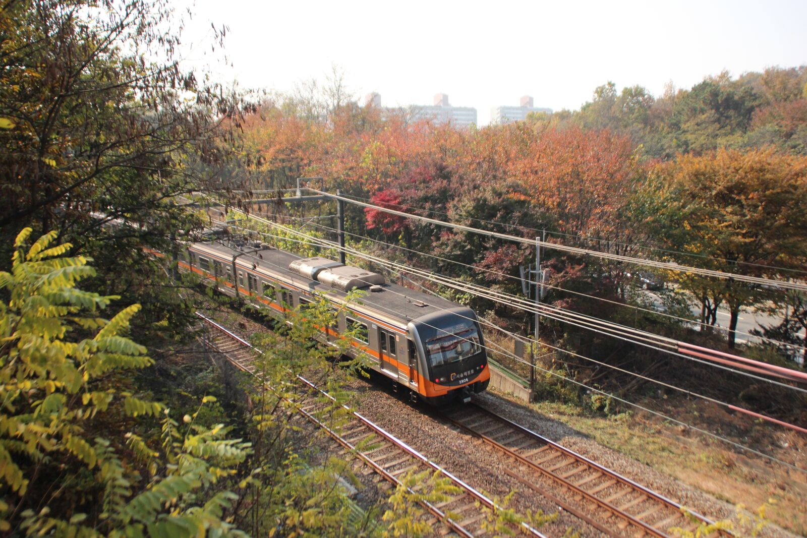 Canon EOS 600D (Rebel EOS T3i / EOS Kiss X5) sample photo. Autumn, nature, wood photography