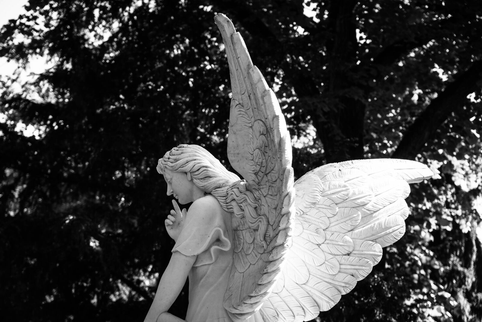 Sony a6500 + Sony Vario-Tessar T* E 16-70mm F4 ZA OSS sample photo. Angel, god, religion photography