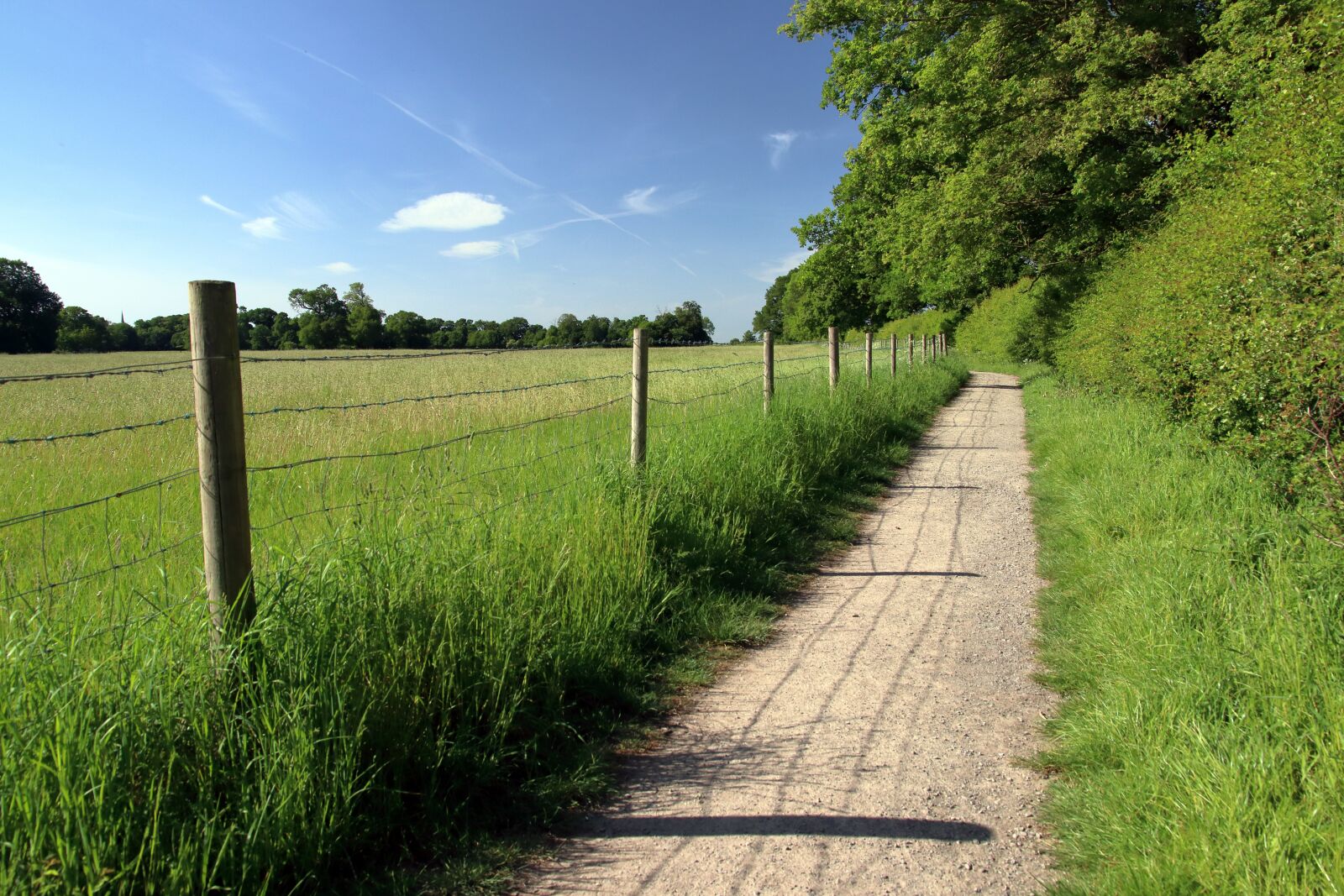 Canon EOS 80D sample photo. Path, green, outdoors photography