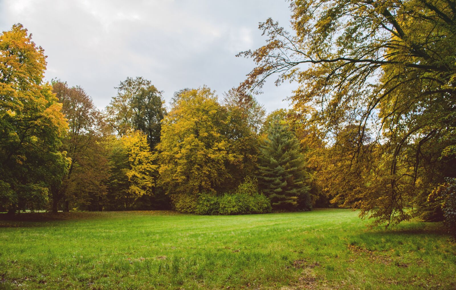 Nikon D5100 sample photo. Park, autumn, nature photography