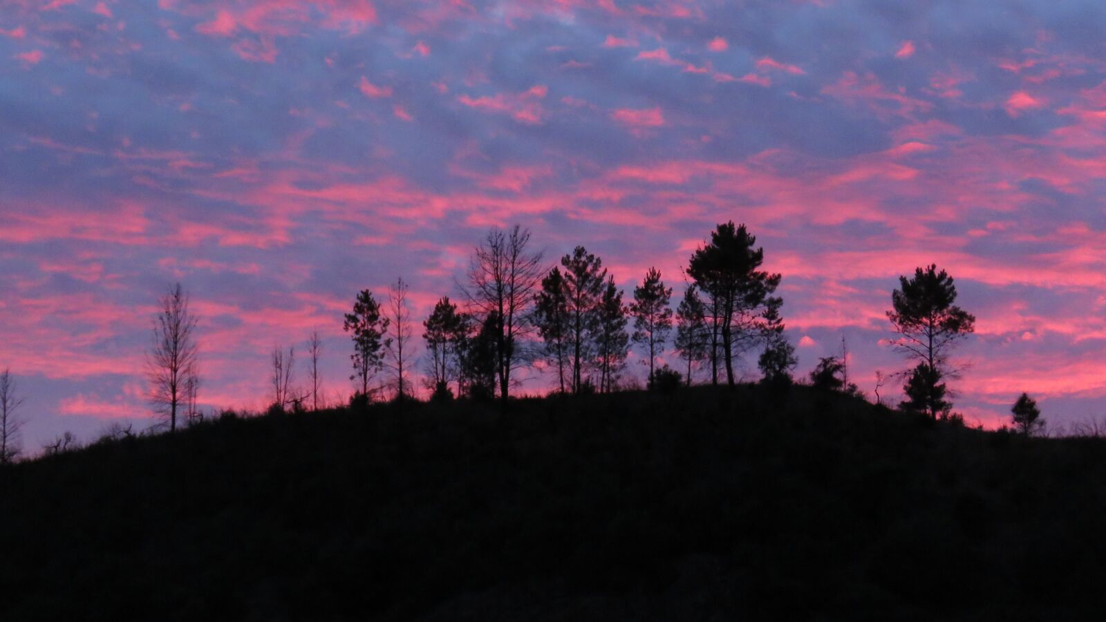Canon PowerShot SX60 HS sample photo. Ceu, light, by sunsets photography