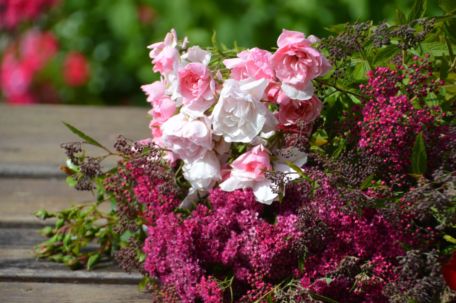 Nikon D3200 sample photo. Flora, flower, dried flowers photography