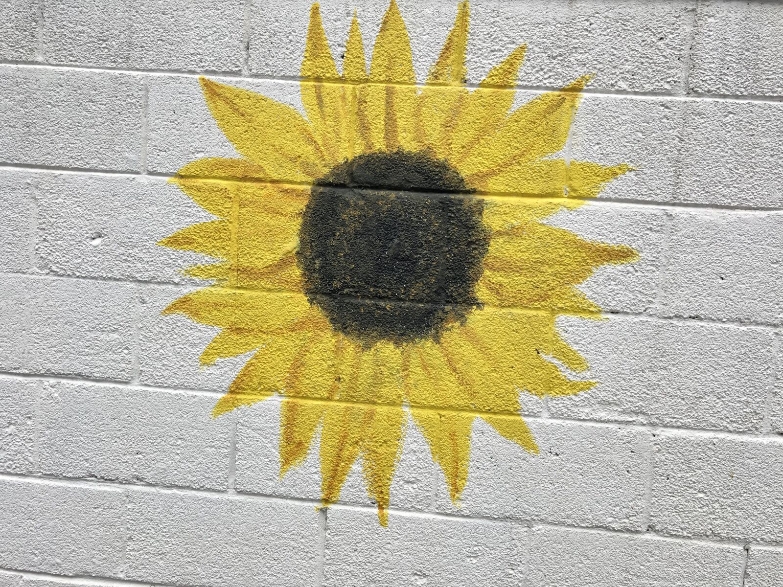 iPhone X back dual camera 4mm f/1.8 sample photo. Sunflower, painting, design photography