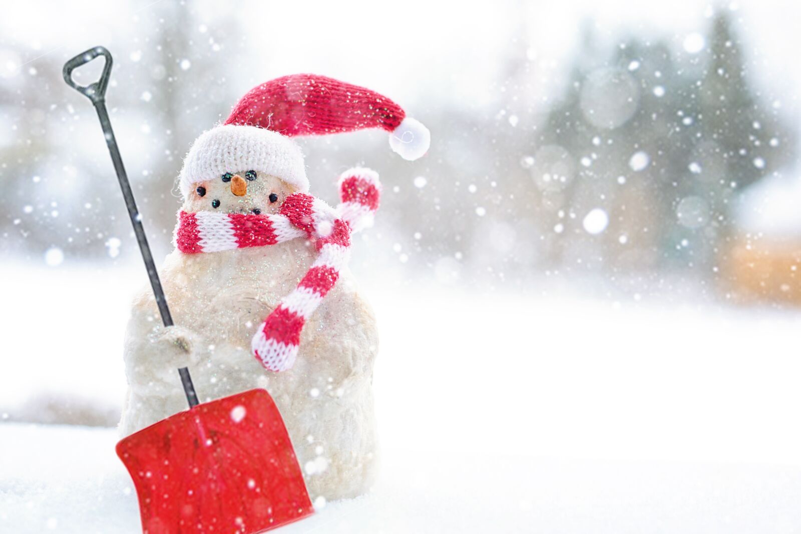 Canon EF 50mm F1.4 USM sample photo. Winter, christmas, snow photography