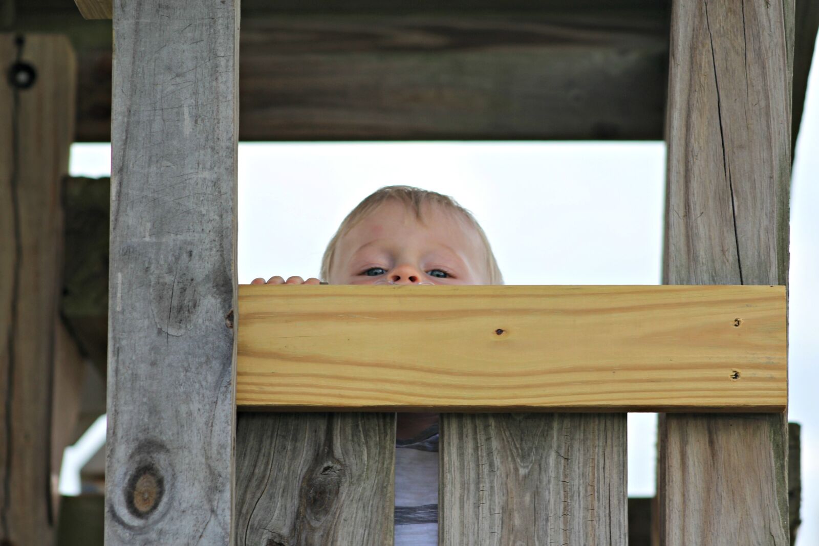 Canon EF 75-300mm f/4-5.6 sample photo. Little boy, park, peek photography