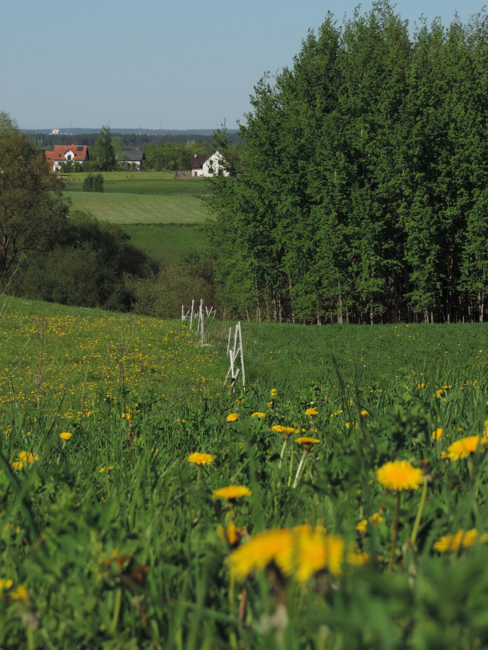 Nikon Coolpix P520 sample photo. Poland, landscape, m photography