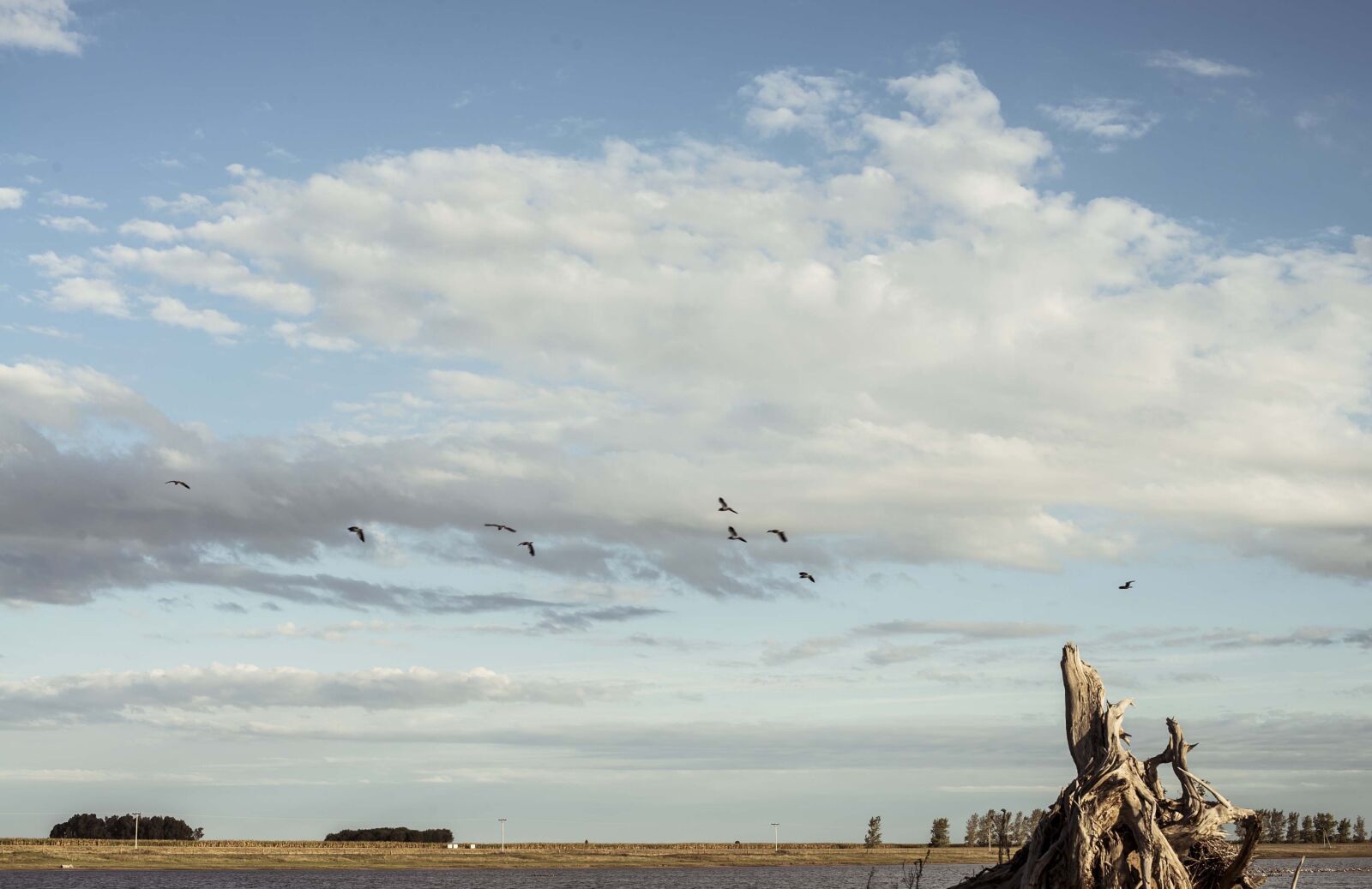 Nikon D800 sample photo. Pampa, sky, field photography