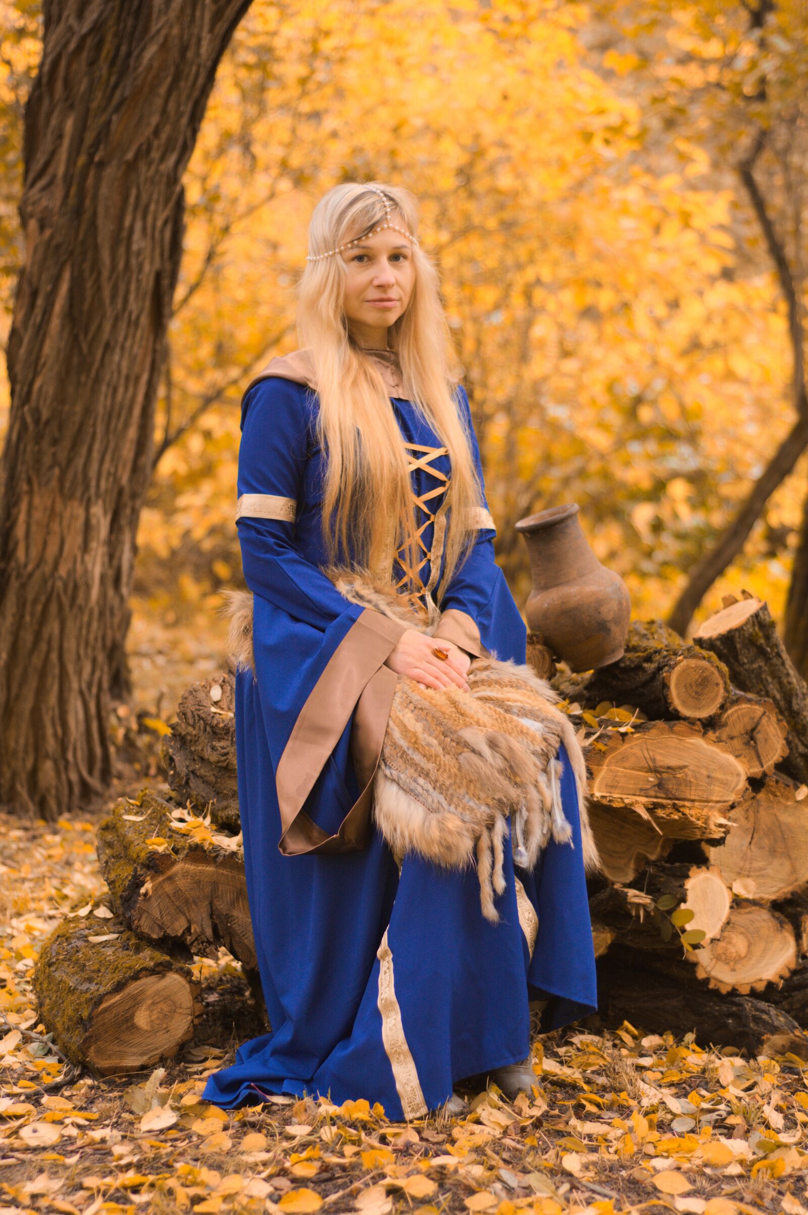 Nikon D7100 sample photo. The middle ages, autumn photography