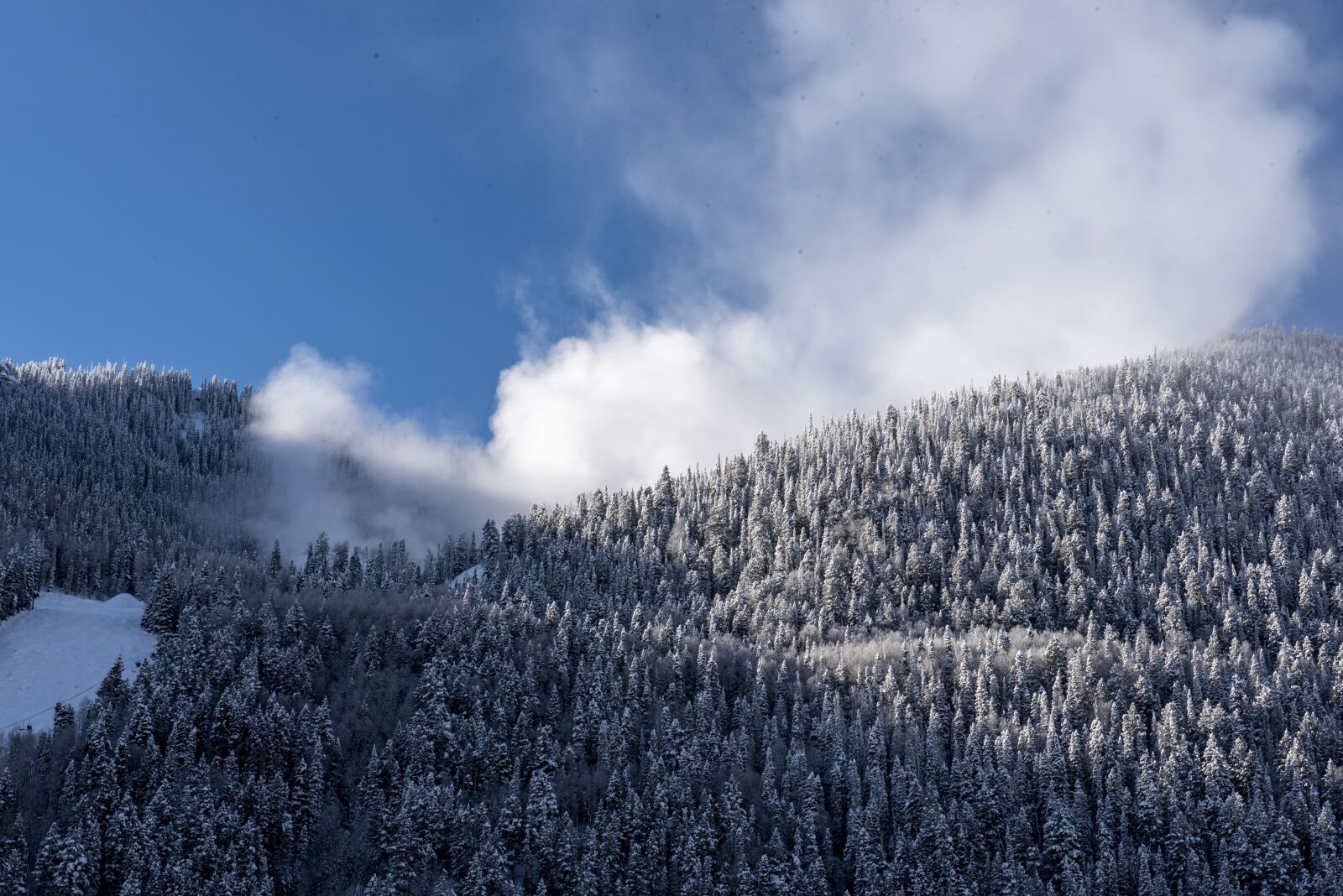 Nikon D750 sample photo. Telluride, colorado, ski photography