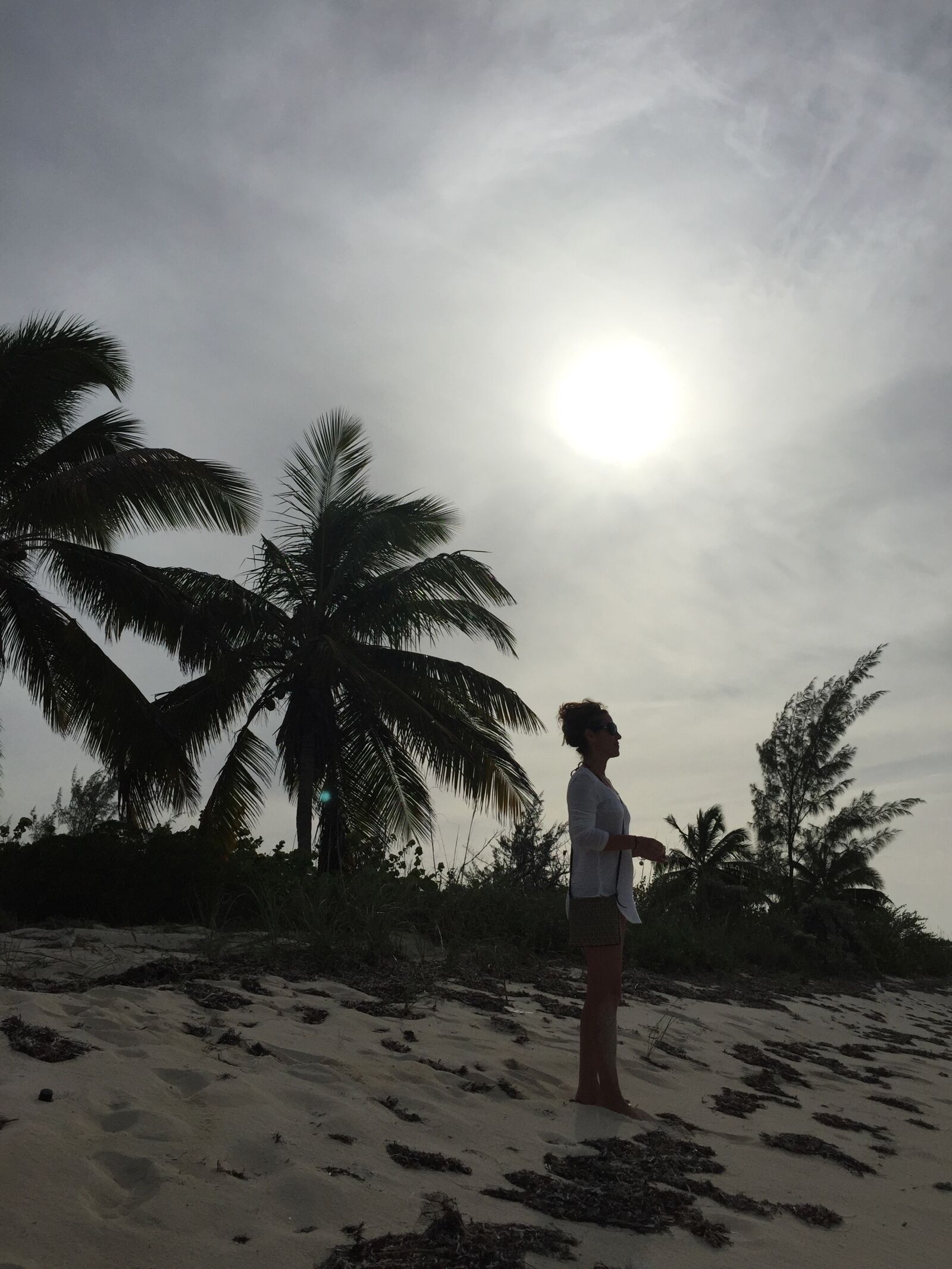 iPhone 6 back camera 4.15mm f/2.2 sample photo. Bahamas, palm tree, woman photography