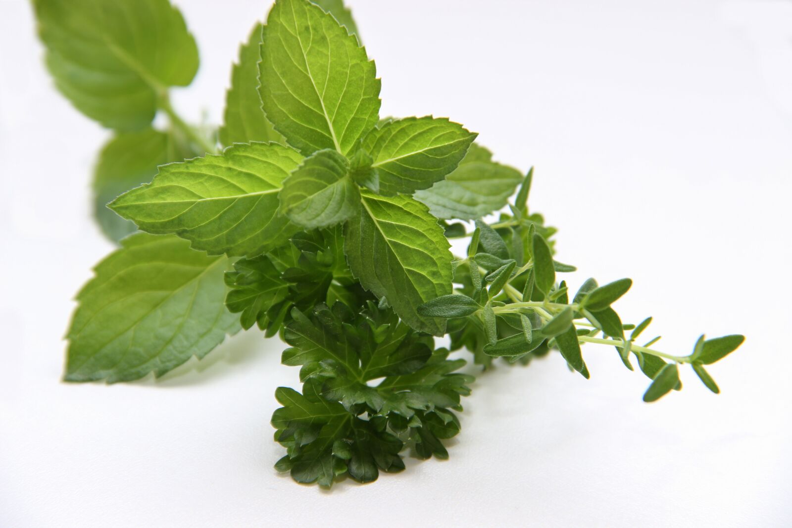Canon EOS 600D (Rebel EOS T3i / EOS Kiss X5) sample photo. Herbs, mint, thyme photography