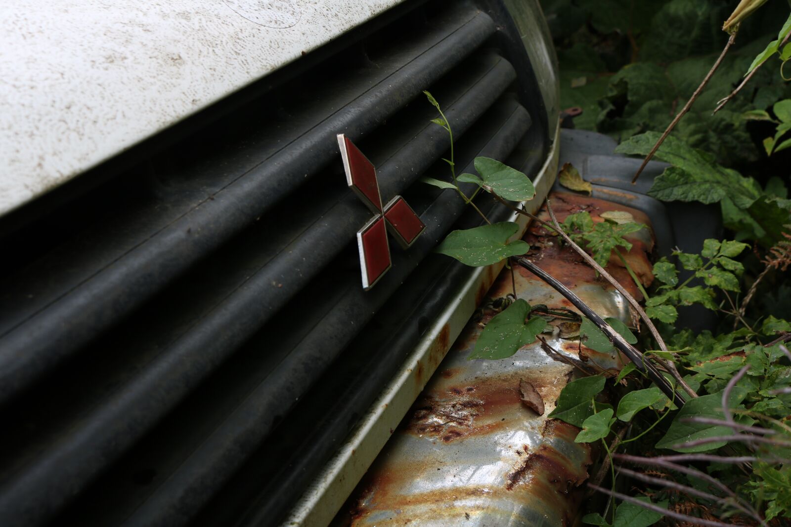 Canon EOS 750D (EOS Rebel T6i / EOS Kiss X8i) sample photo. Abandoned, auto, rust photography