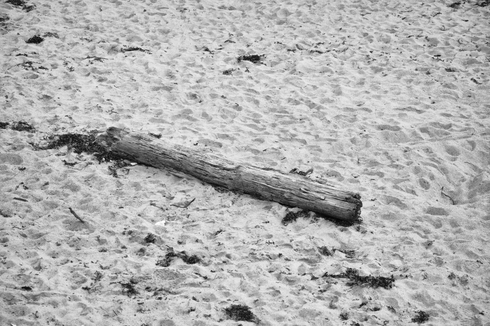 Nikon D5200 sample photo. Bois, bois, flotte, noir photography
