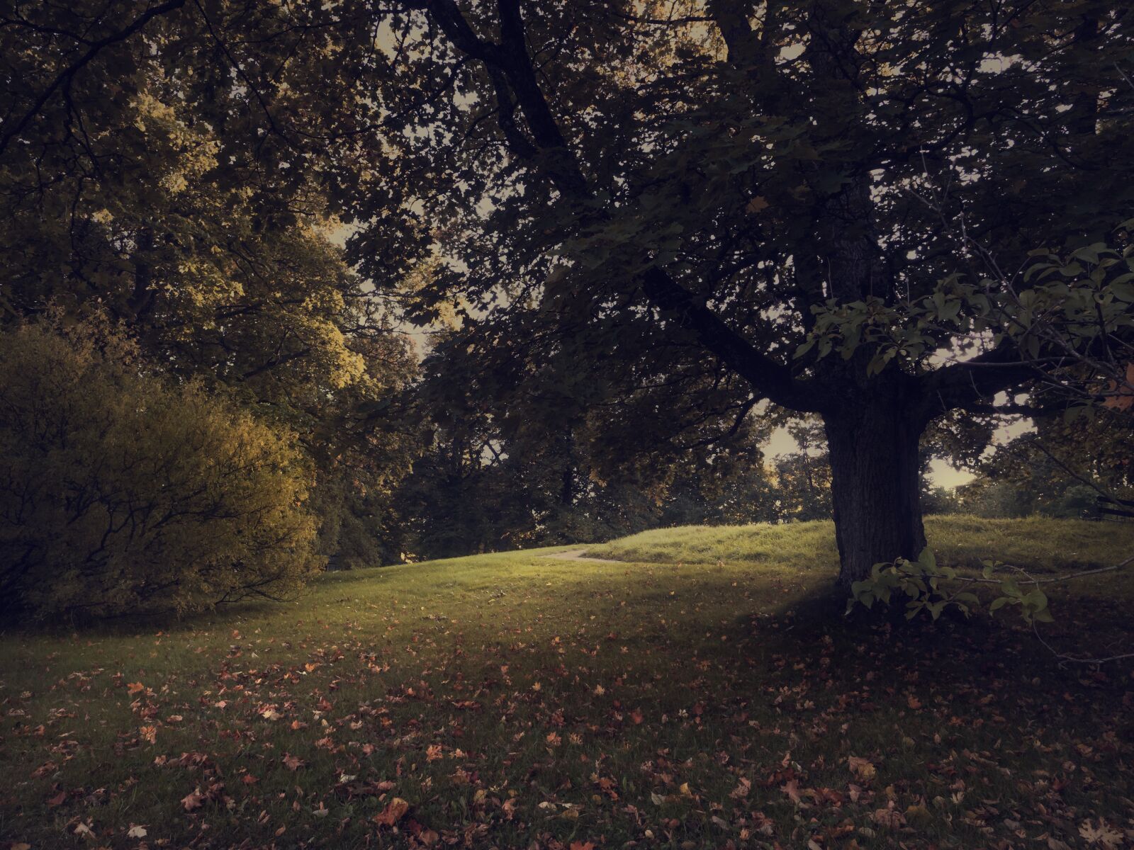 Olympus M.Zuiko Digital ED 12mm F2 sample photo. Landscape, park, autumn photography