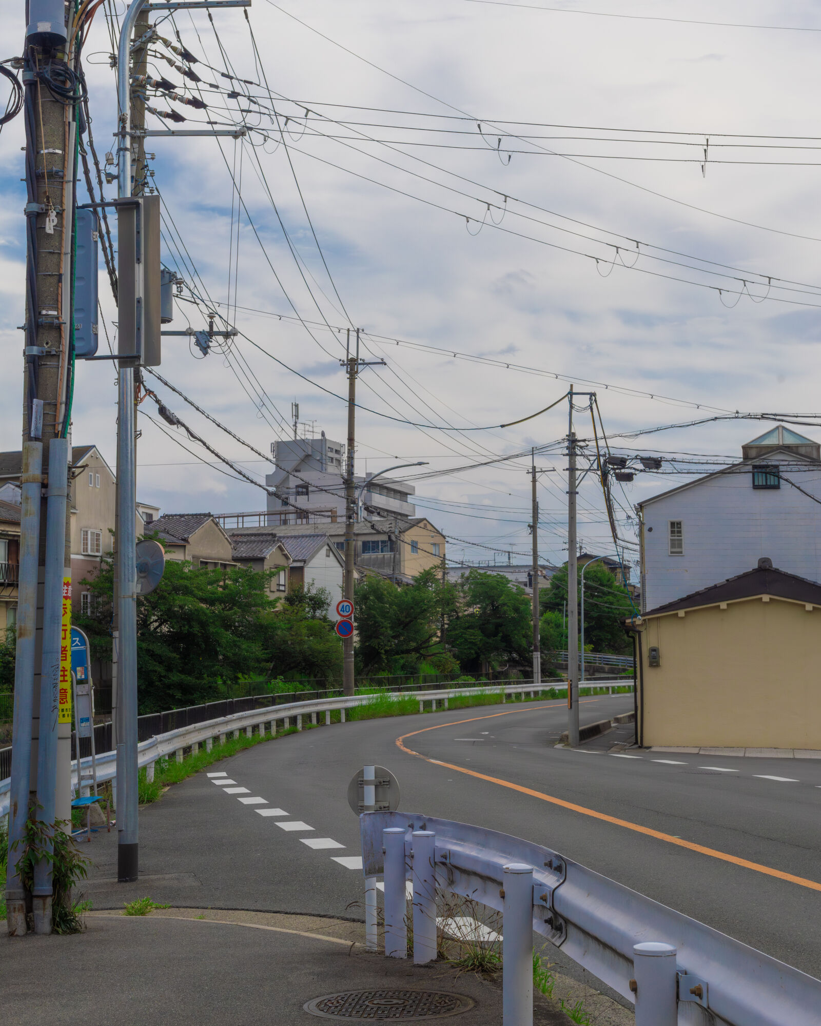 Canon EF 50mm F1.8 STM sample photo