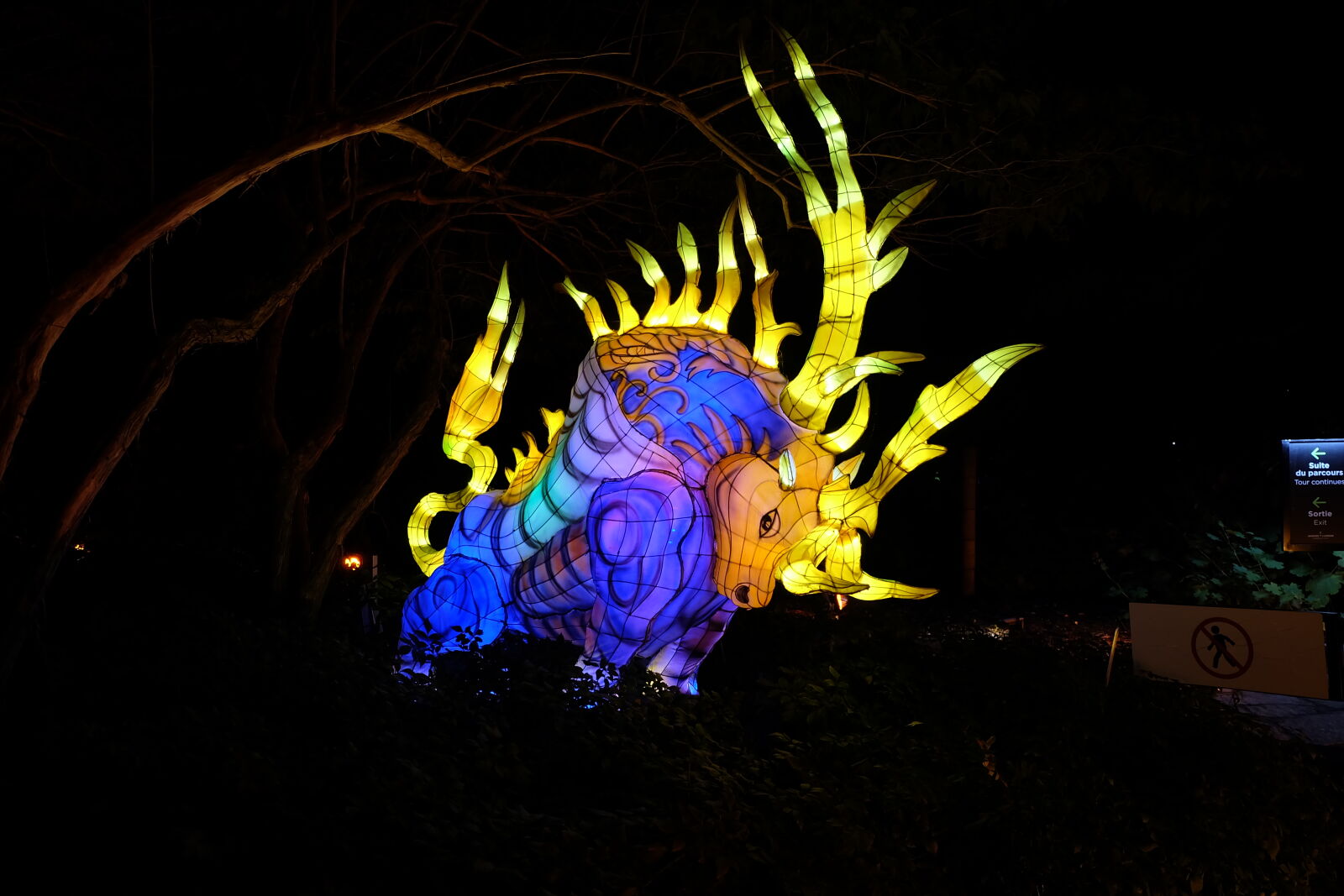 Fujifilm X-A2 + Fujifilm XC 16-50mm F3.5-5.6 OIS II sample photo. Lantern, festival, at, montreal photography