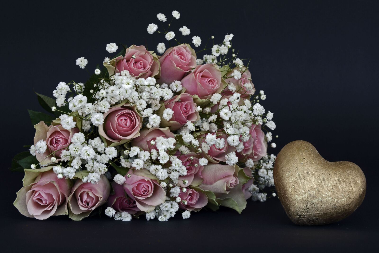 Nikon D7100 sample photo. Roses, rose flower, flowers photography