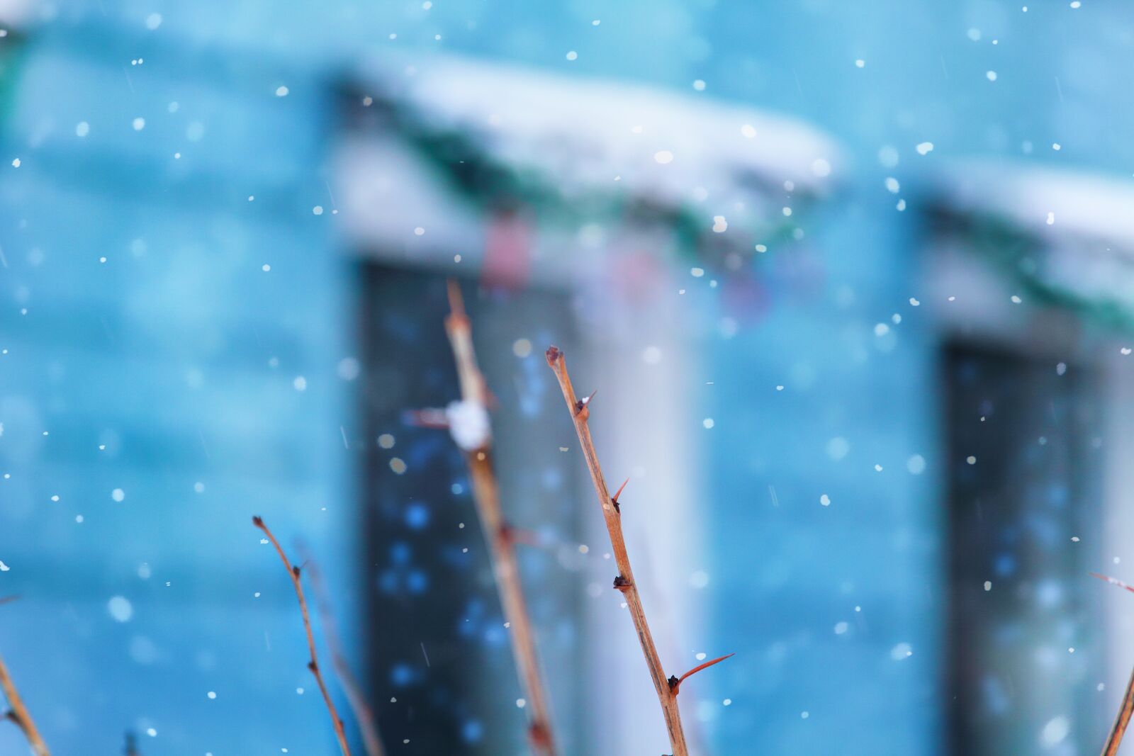 Canon EF 28-135mm F3.5-5.6 IS USM sample photo. Winter, snow, scenery photography