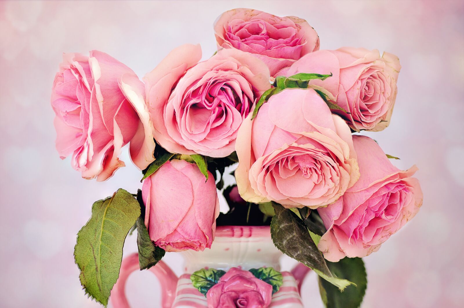 Canon EOS 5D Mark III sample photo. Roses, flowers, floral photography