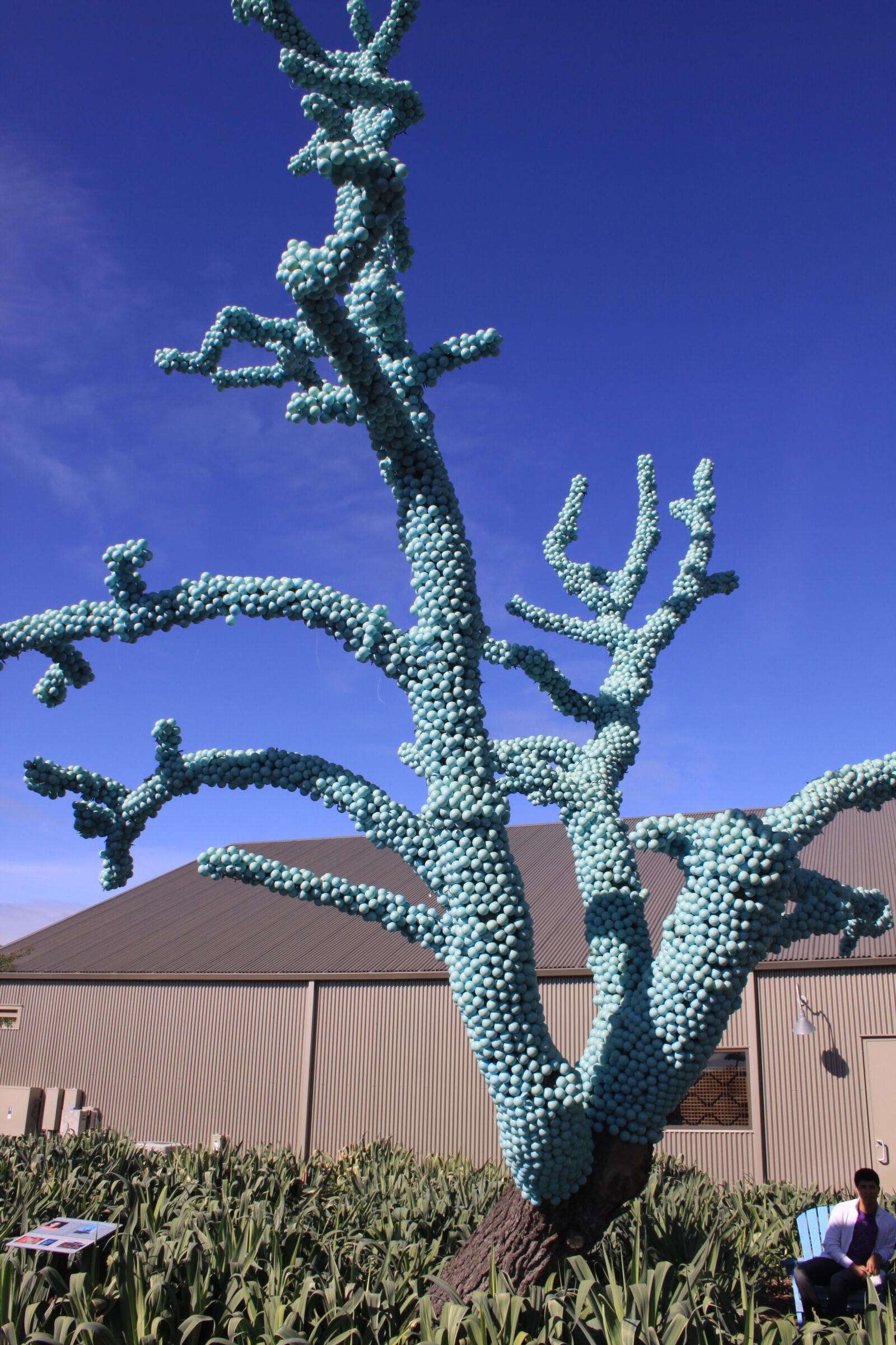 Canon EOS 50D sample photo. Fake plastic tree, blue photography